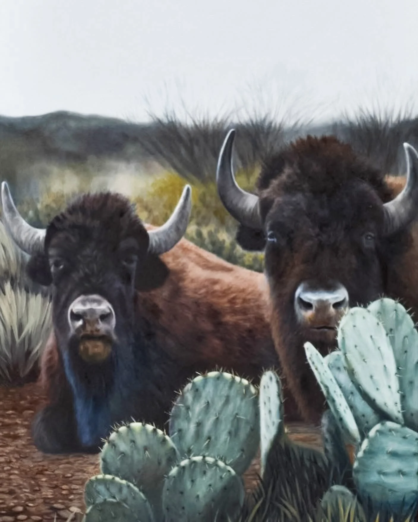 Wild | 30x50 | oil on canvas | sold