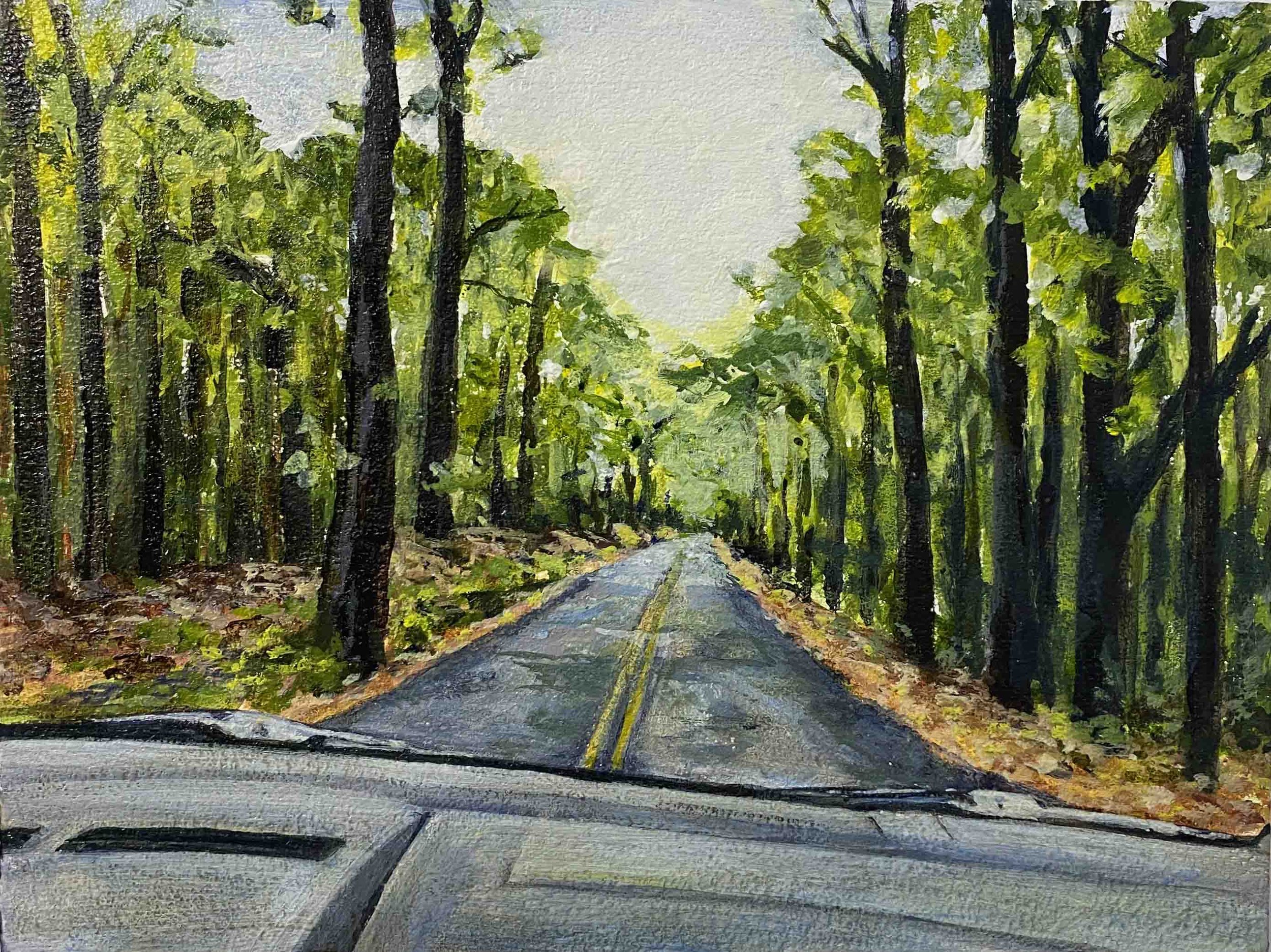 Mount Kearsarge Road | 6 x 8 | acrylic on panel | 275