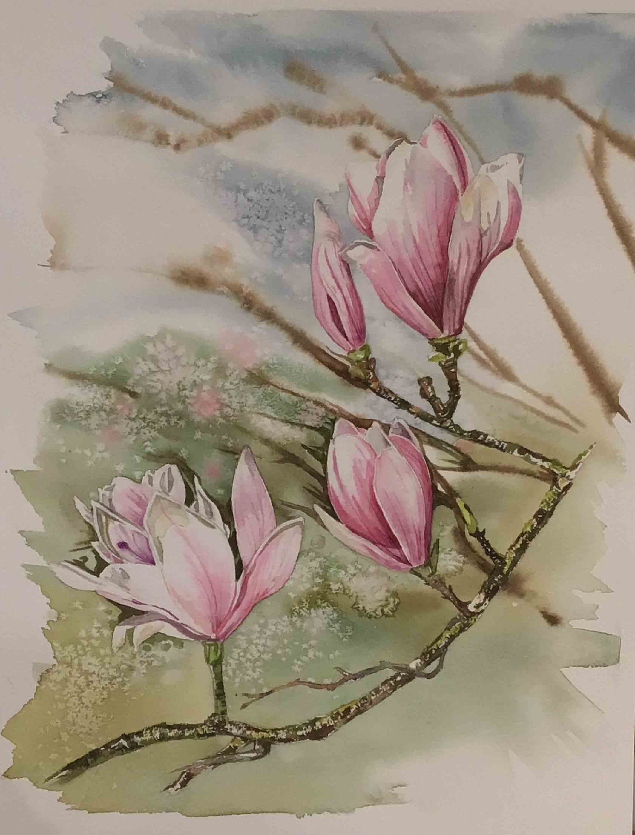 Spring Magnolia | 10x14 | watercolor | 350