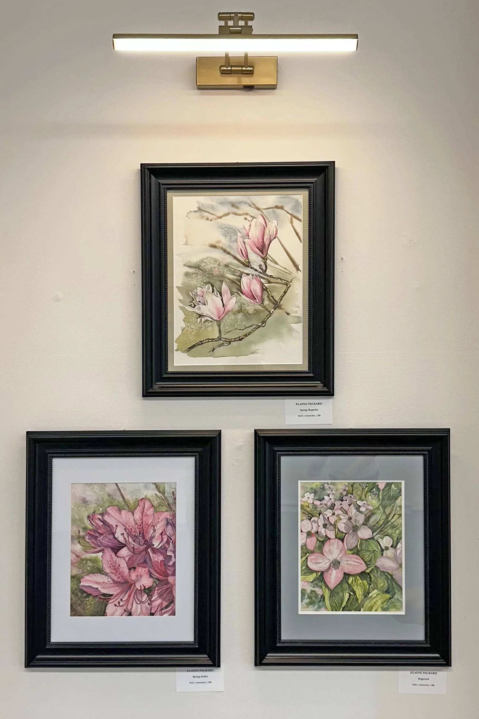 Glimpse Gallery Elaine Packard.jpg