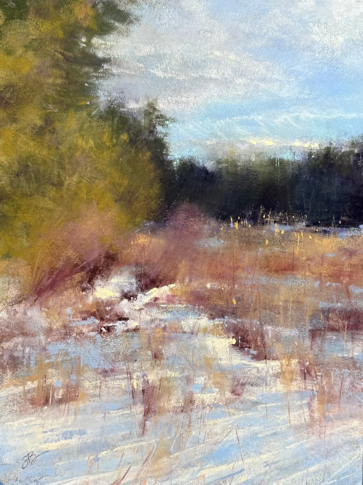 On the Fringe | 12x9 | soft pastel | 700