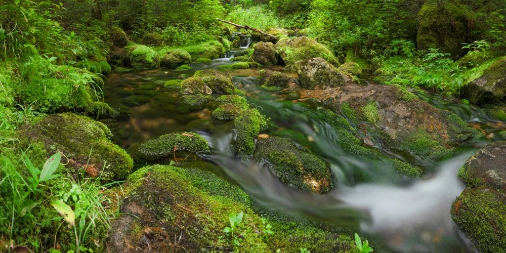 White Mountain Stream | Panoramic | photography 