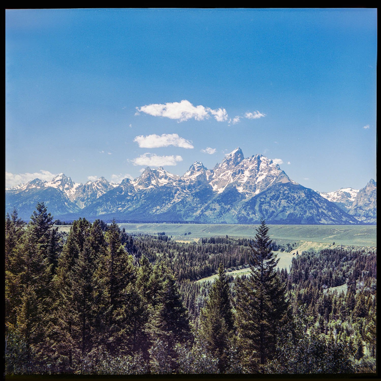 Snake River Overlook | 16x16 | medium format film | 250
