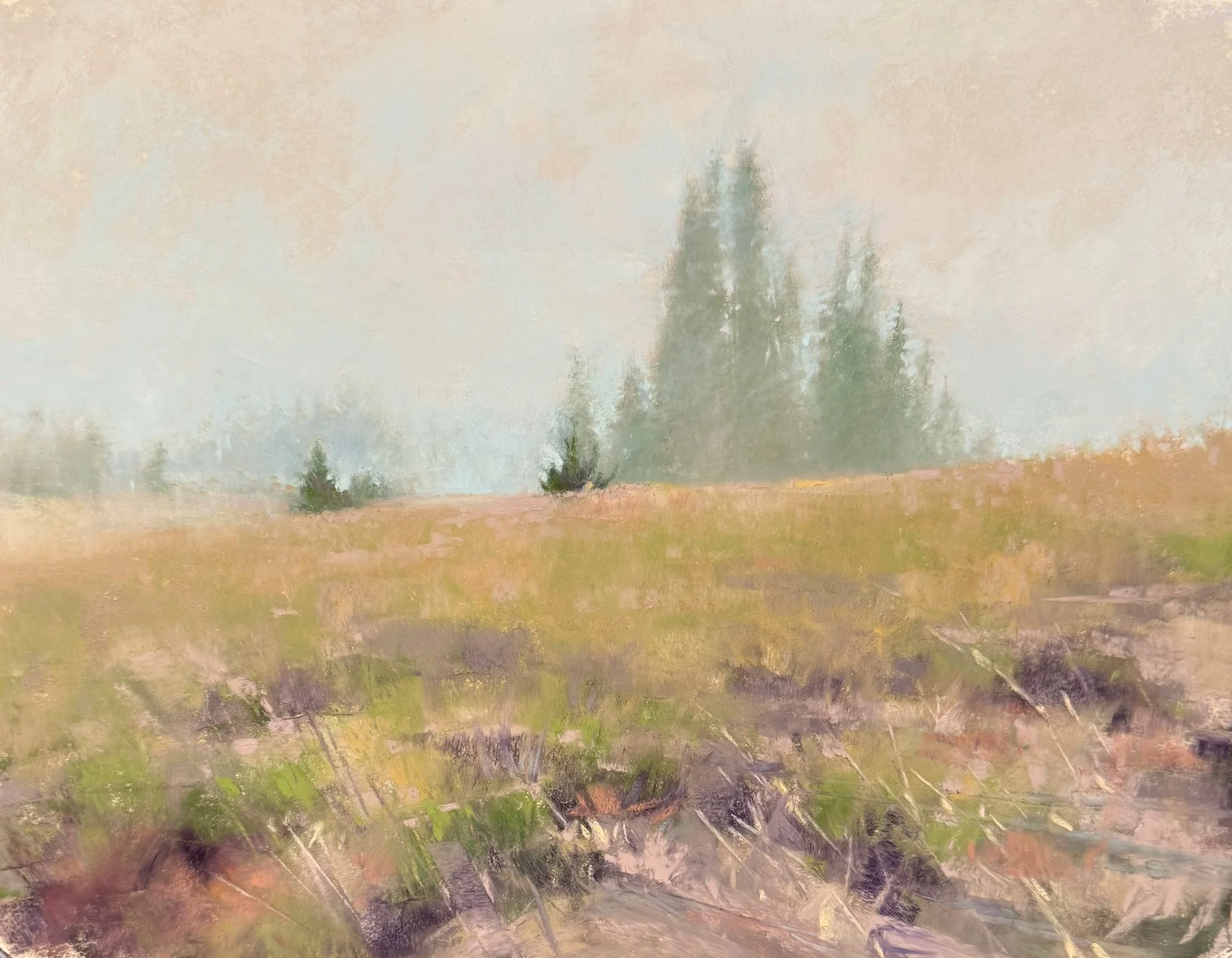 Under the Veil | 8x10 | soft pastel | 550