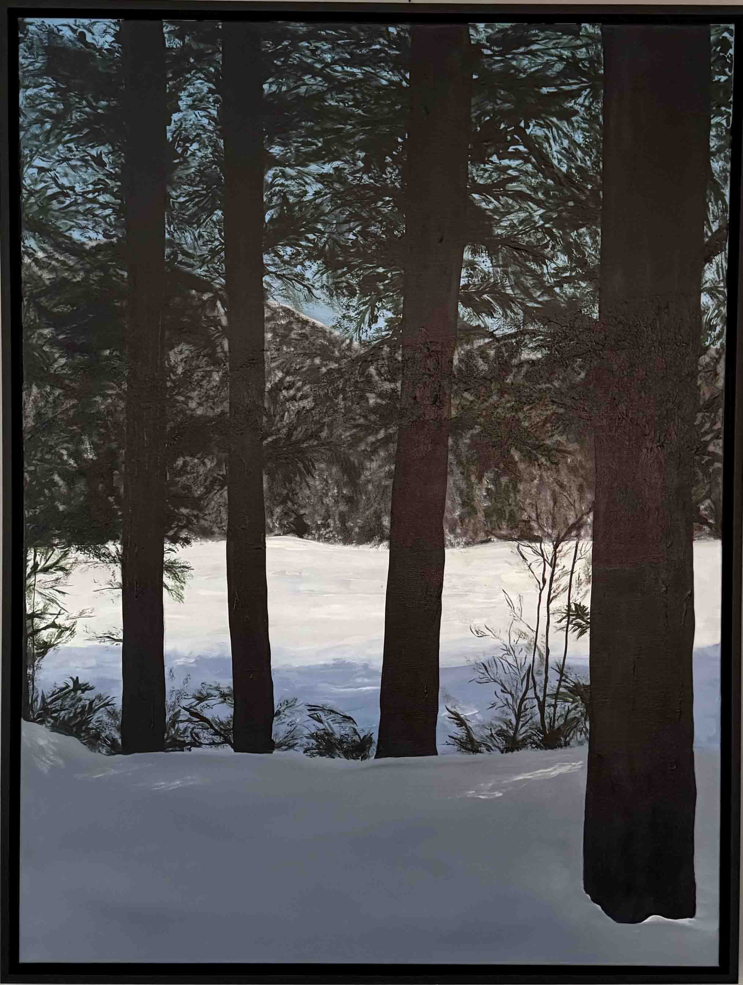 The Sound Of Silence | 30x40 | acrylic on canvas framed | 800