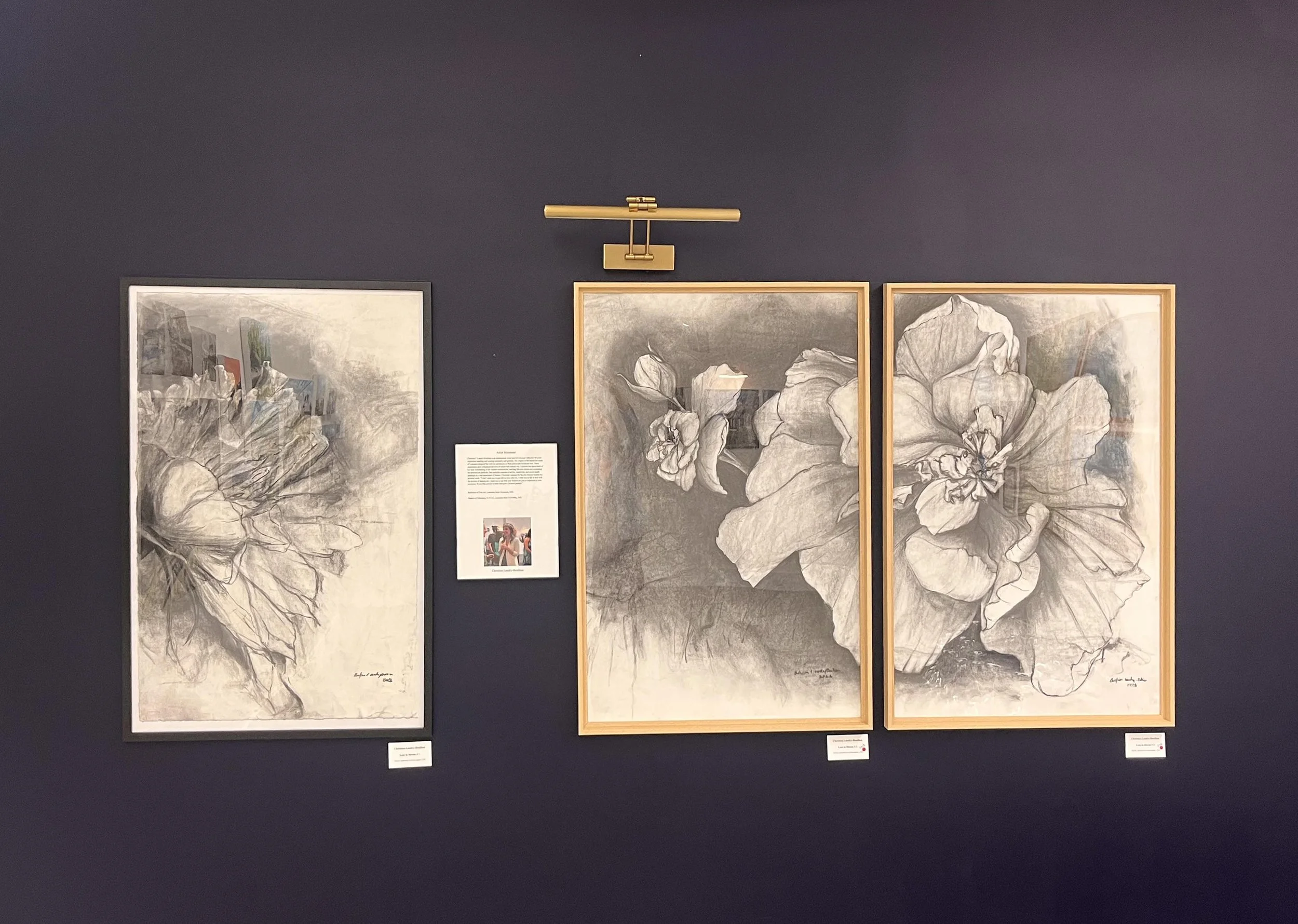 Art Concord, NH Glimpse Gallery (1).jpeg