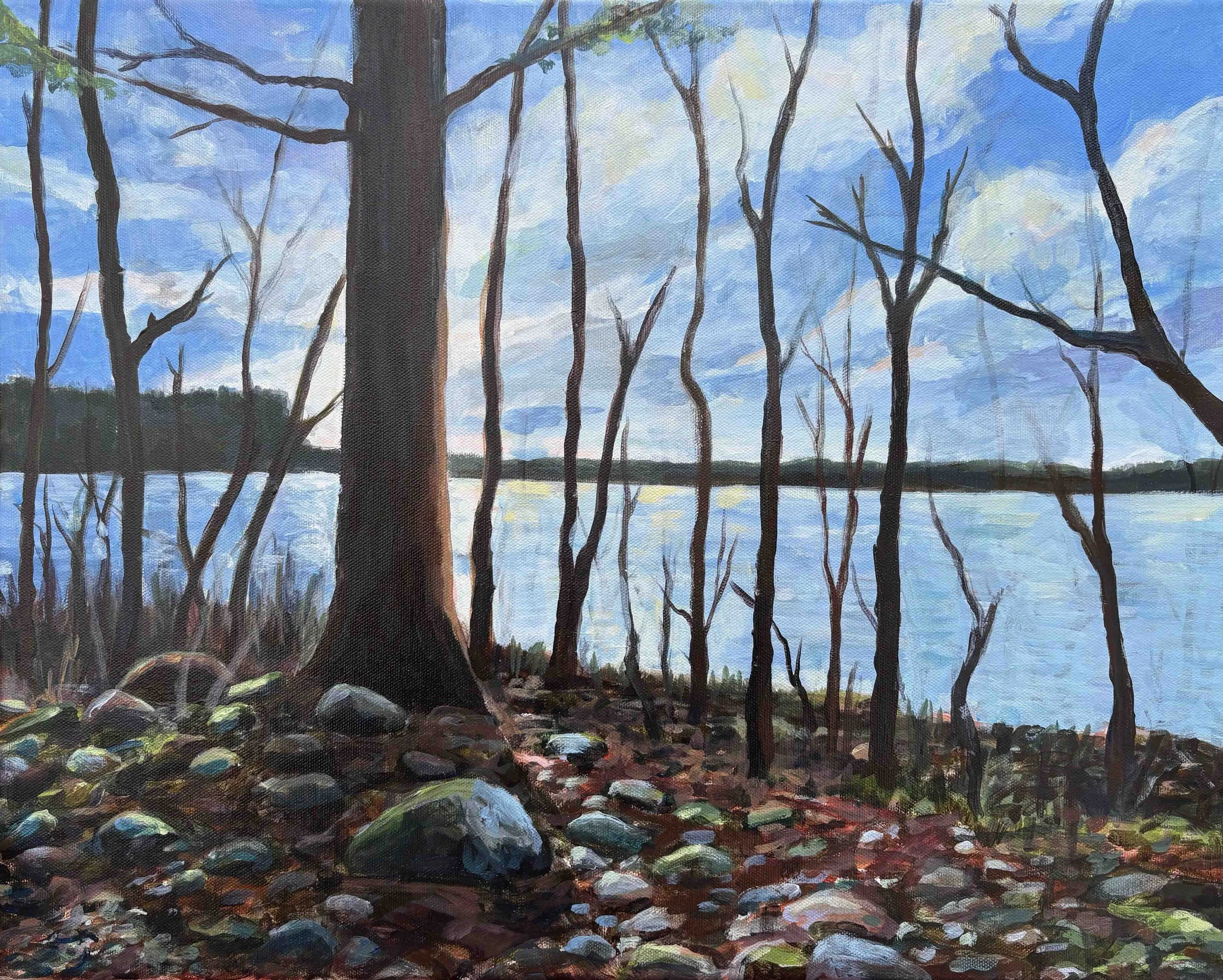 Catching Light, Turkey Pond | 16x20 | acrylic on canvas | 500