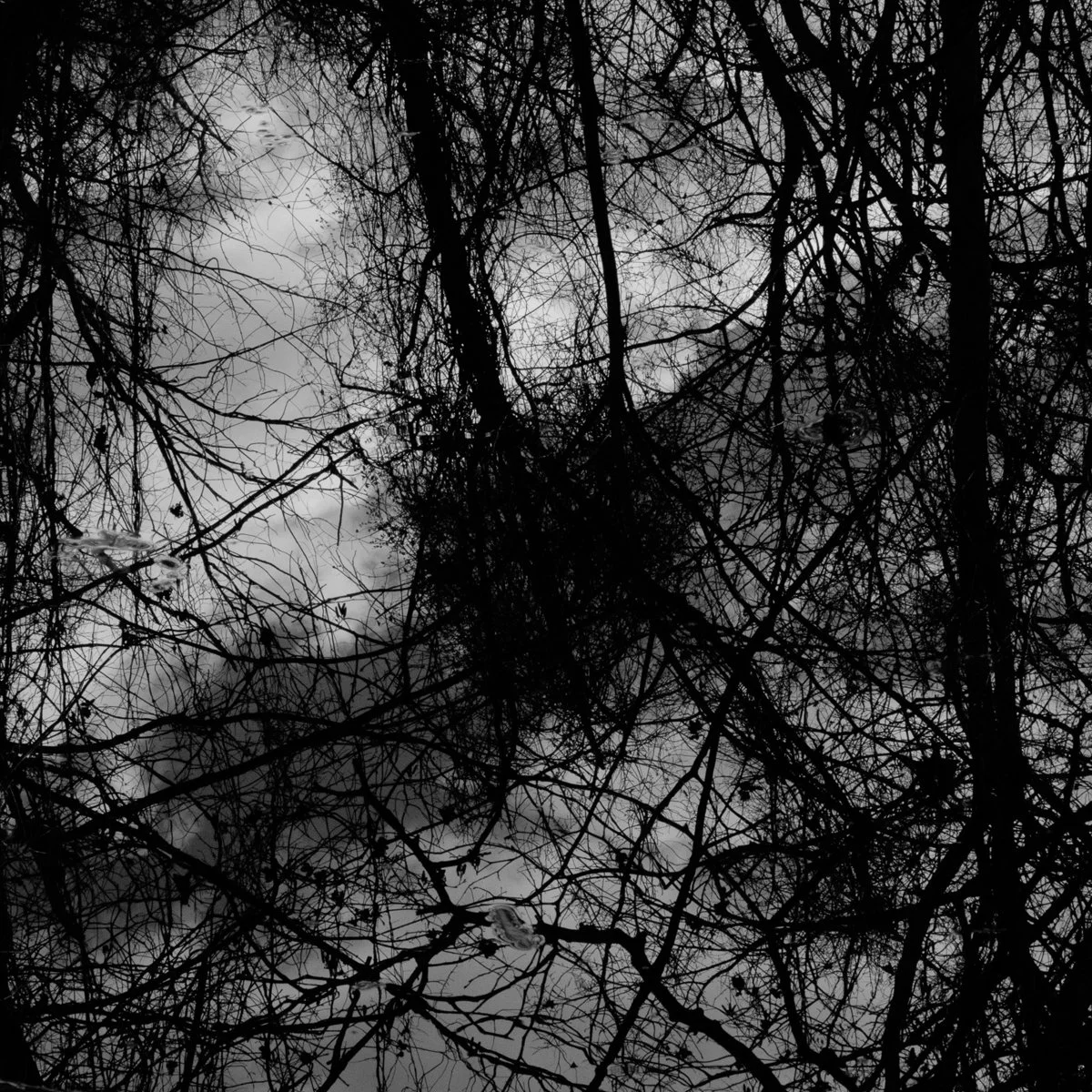 Beyond-15 1_5 | 20x20.25 | limited edition photograph framed w/ black matte | 1,000