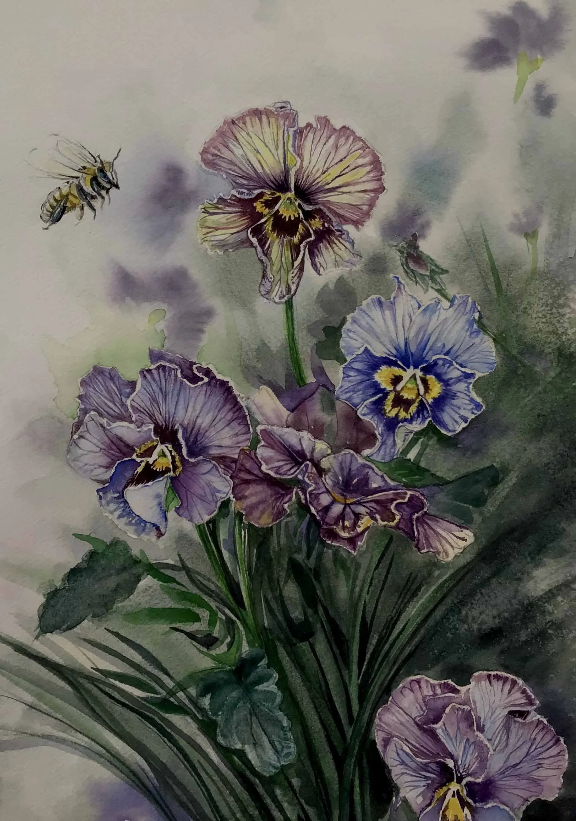 Pansy Garden | 8.5 x 11.5	| watercolor	| 300