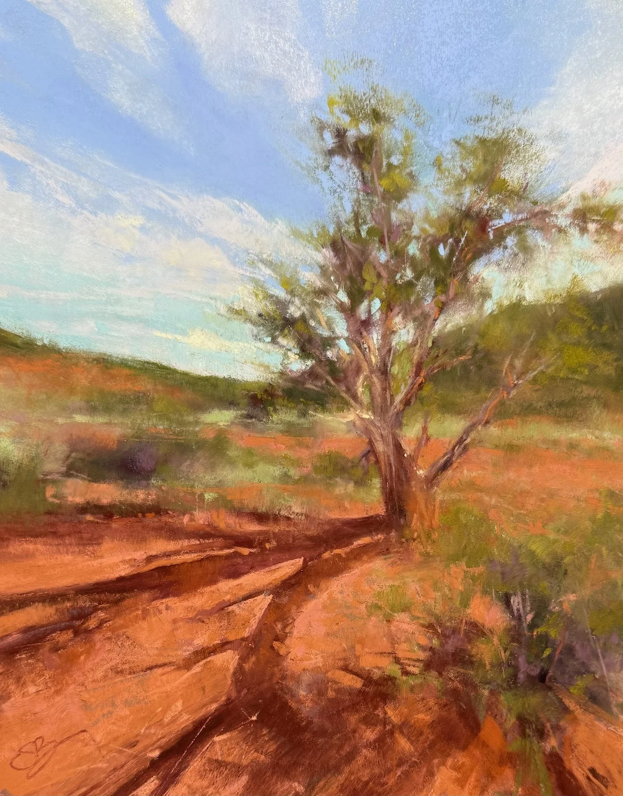 Overshadowed | 10x8 | soft pastel | 600