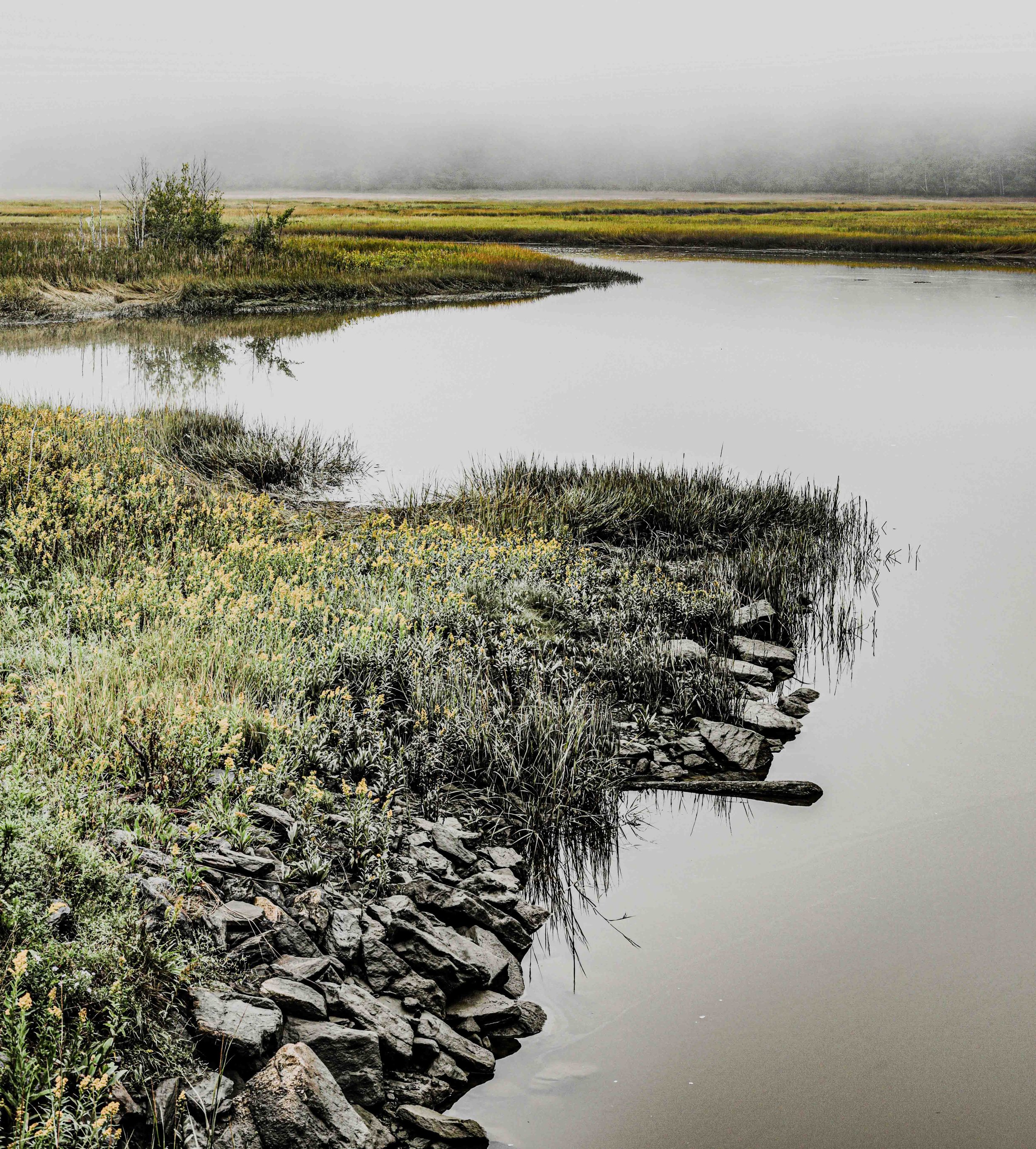 Calm Inlet | digital photograph | 90