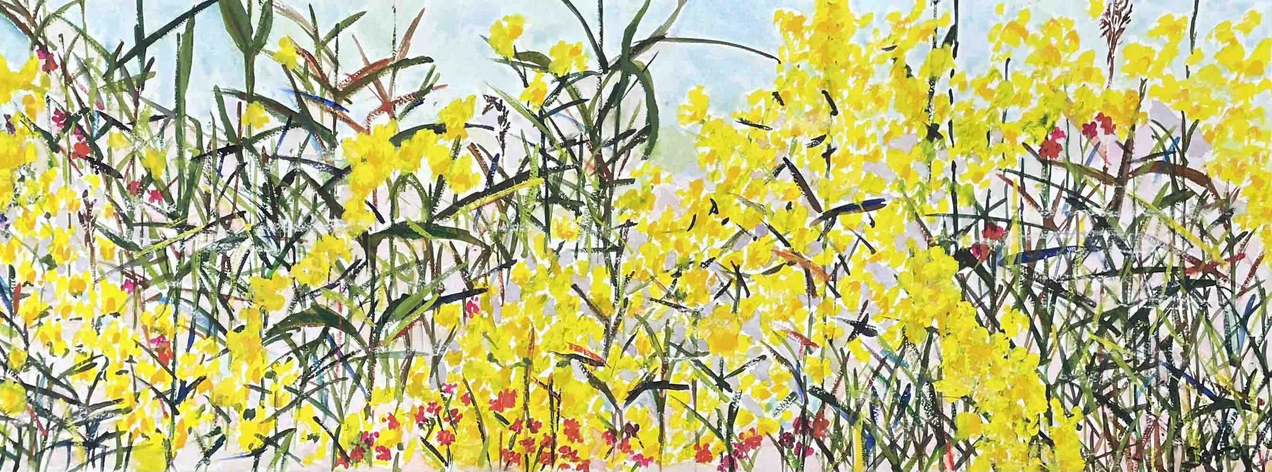 Catherine’s Meadow | 11x30 | watercolor on paper | NFS