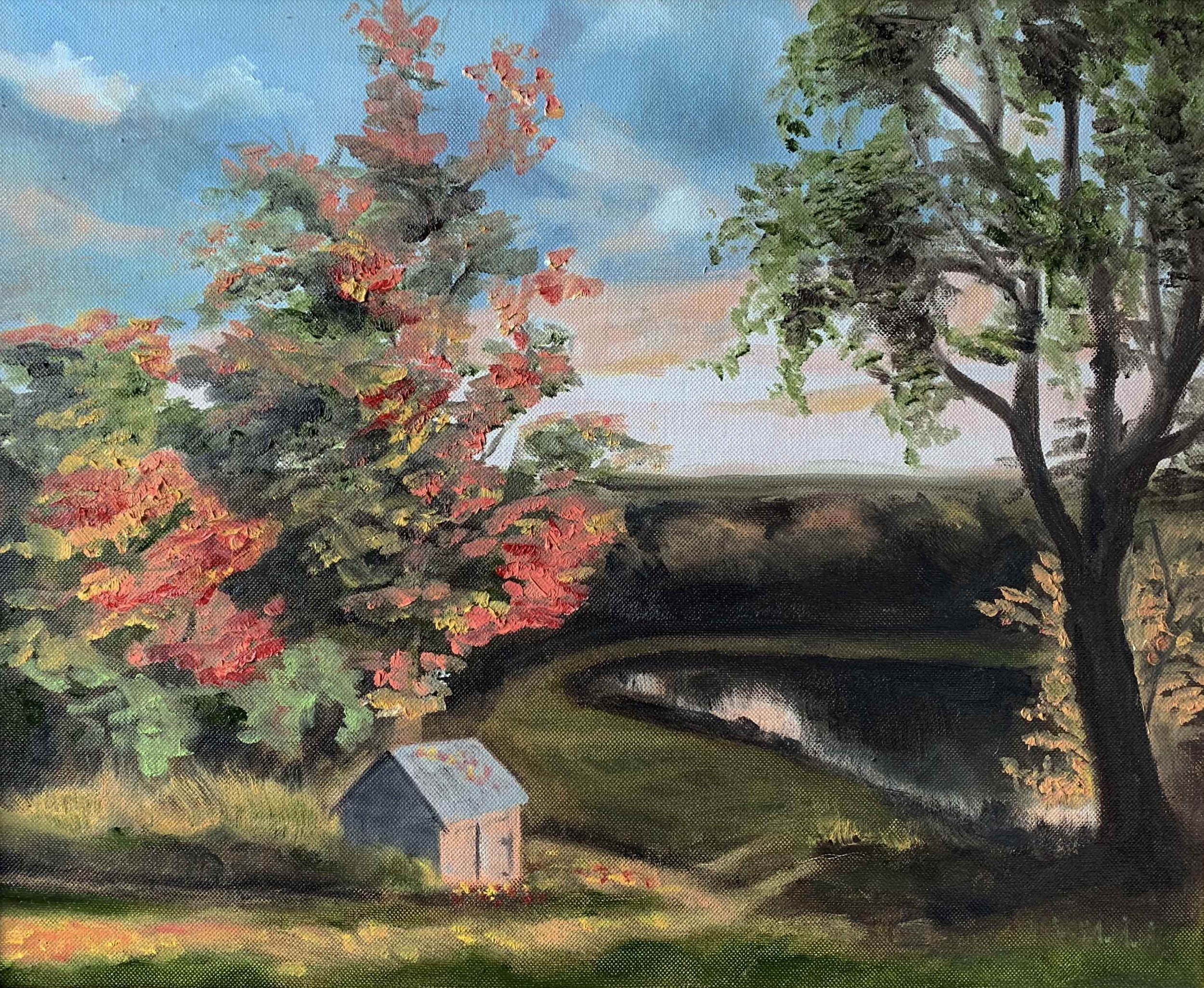 Cady Road Dawn | 16 x 20 | oil on canvas framed | NFS