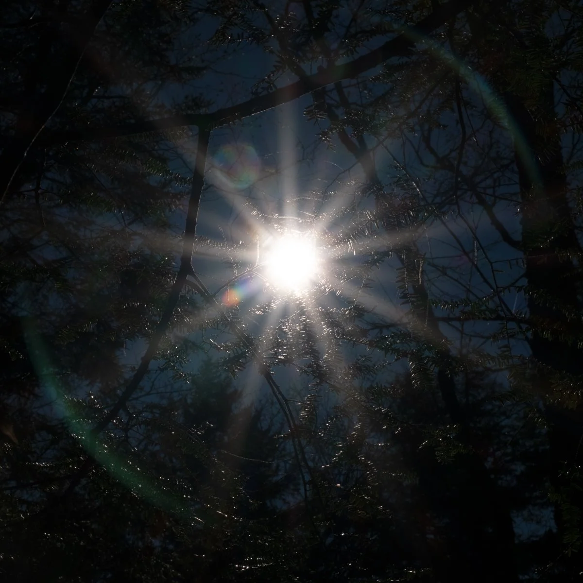 Beyond-10 2_5 | 20x20.25 | limited edition photograph framed w/ black matte | 1,000