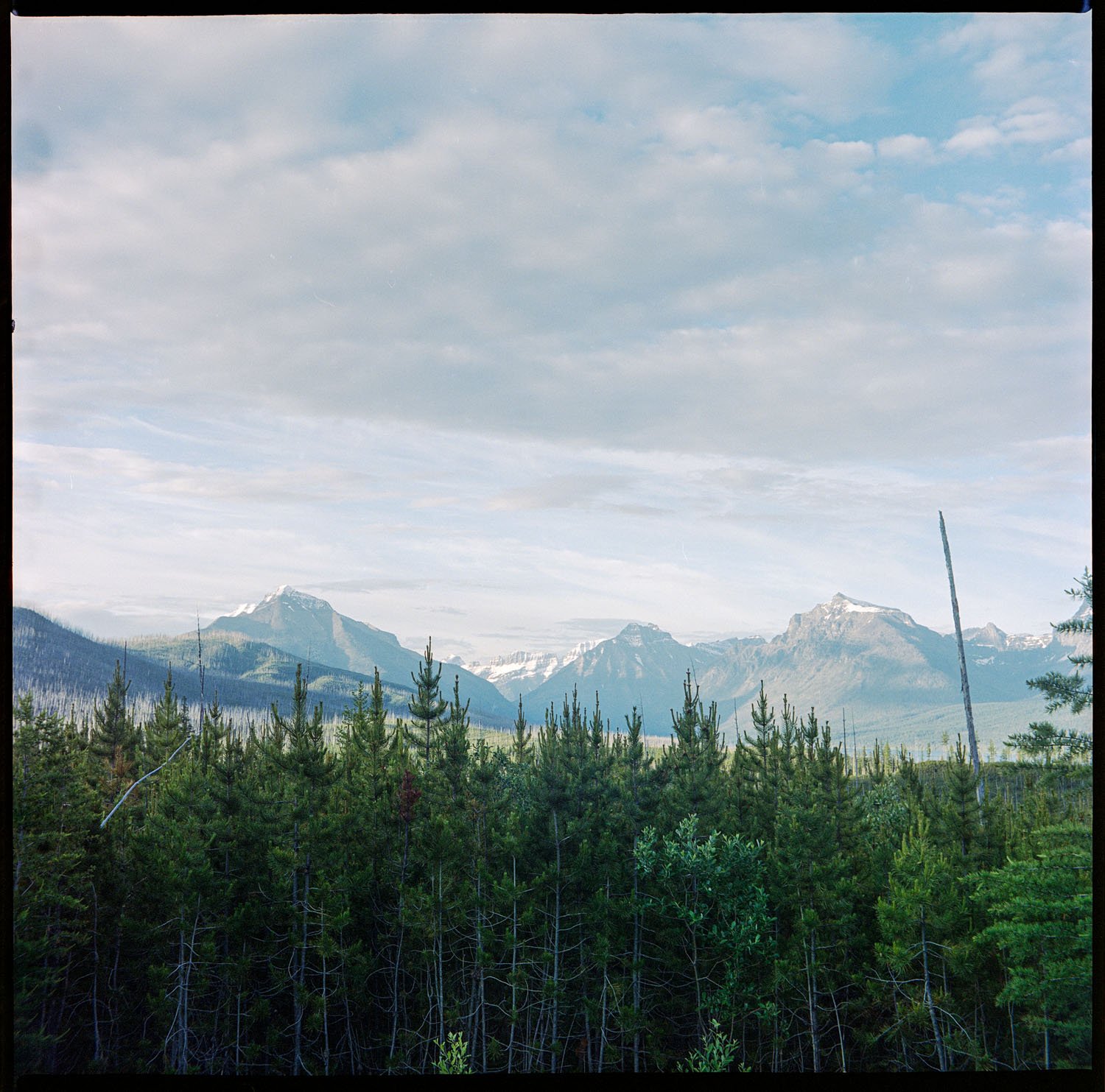 The Road To Polebridge | 16x16 | medium format film | 275