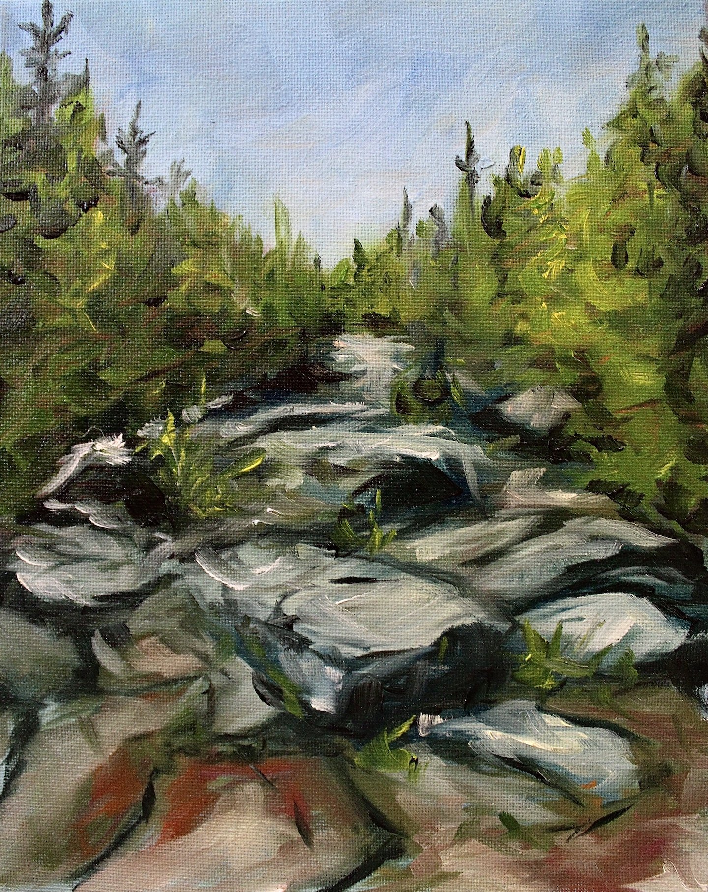 Zealand Trail | 8x10 | oil on canvas | 200