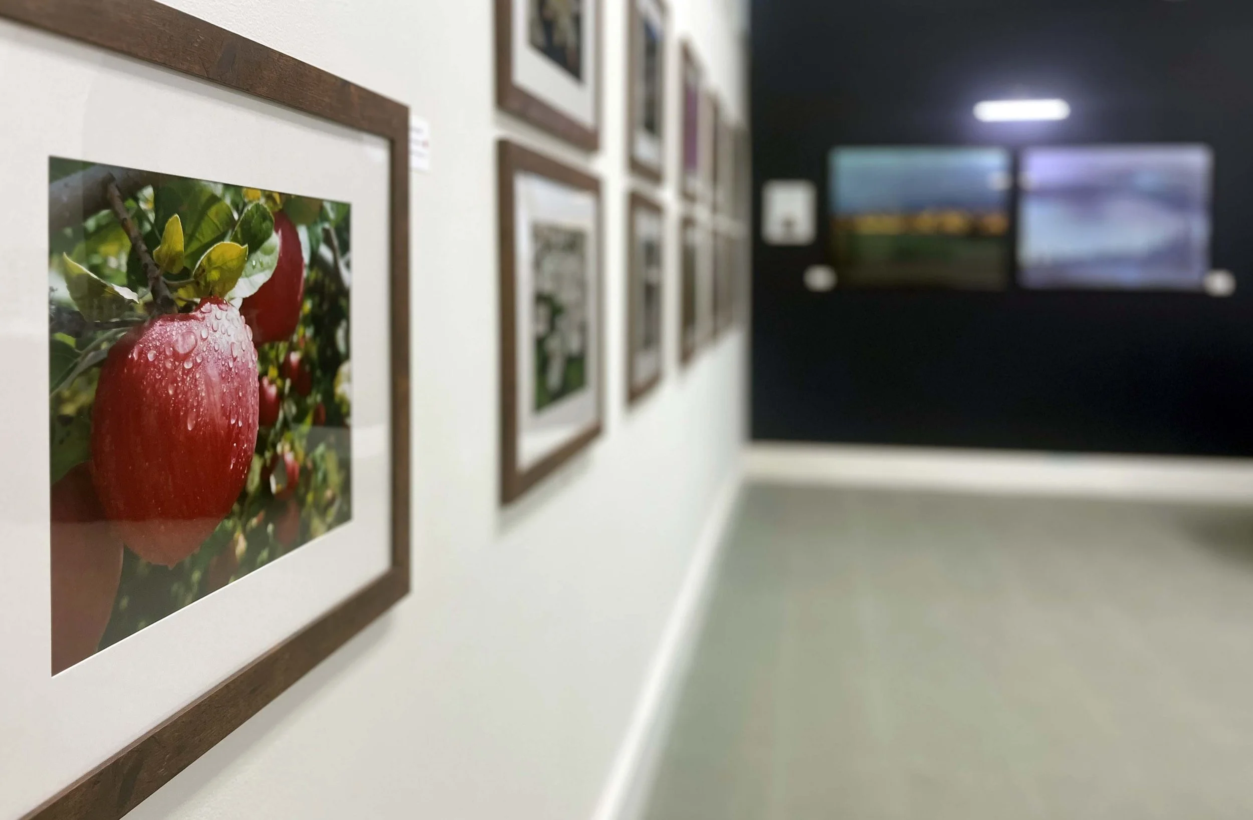 Joy Currier Glimpse Gallery.jpg