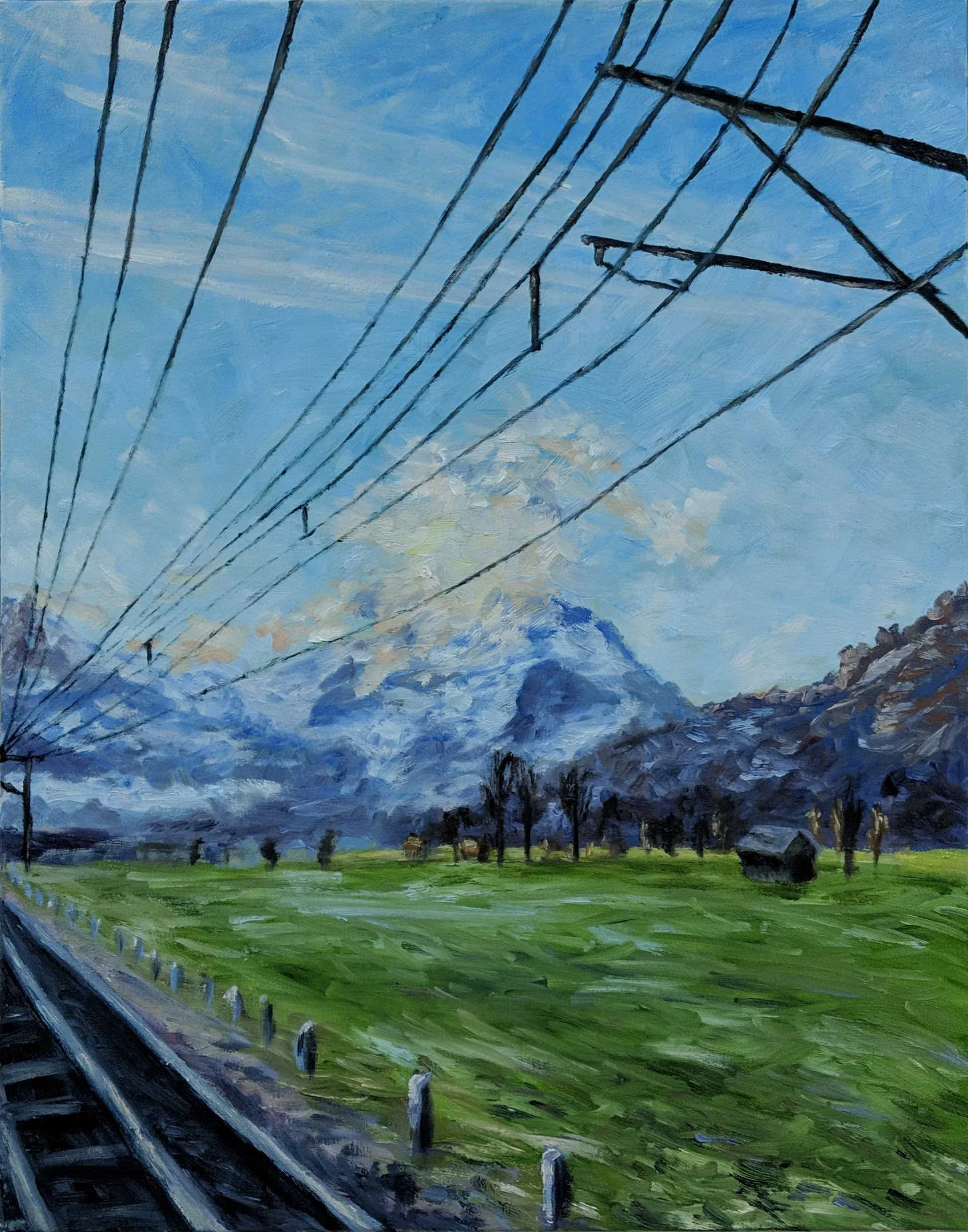 Overhead Lines | 28x22 | oil on canvas framed | 1350