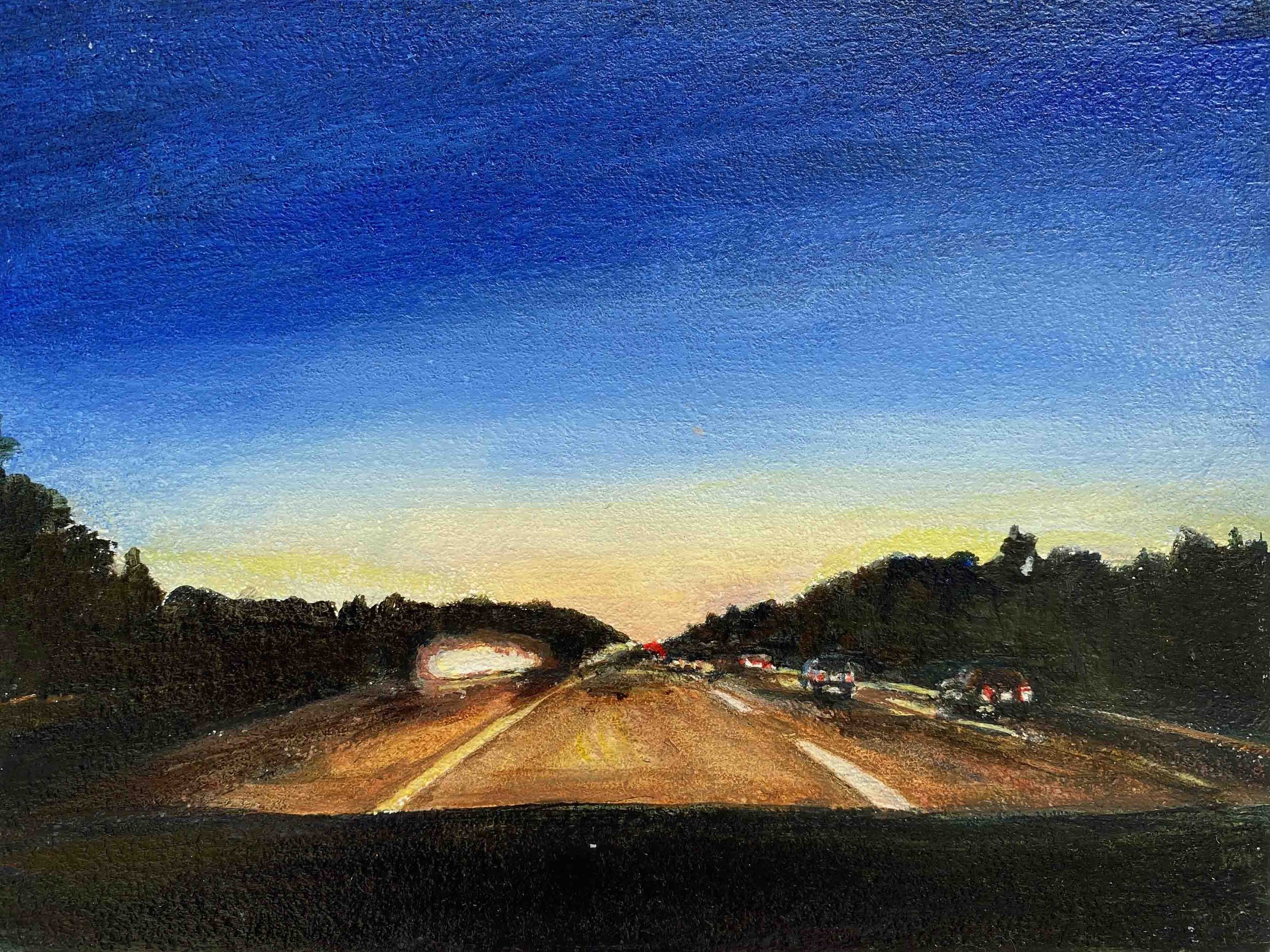 Night Vision | 6 x 8 | acrylic on panel | 275