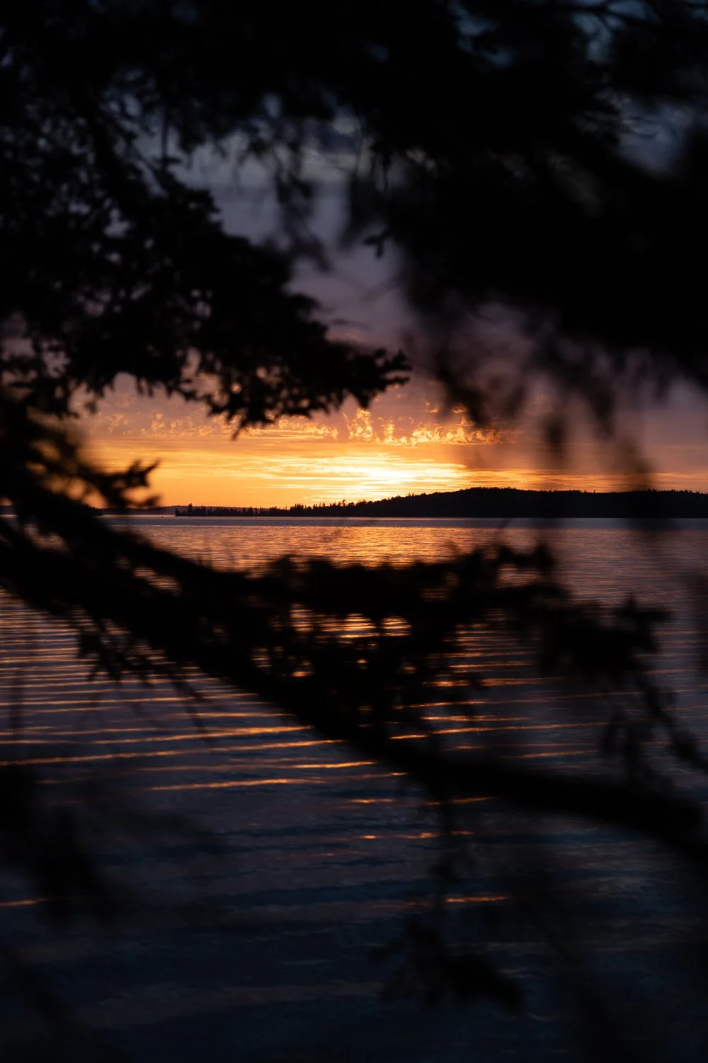 JKS 4 | digital photograph | multiple sizes available