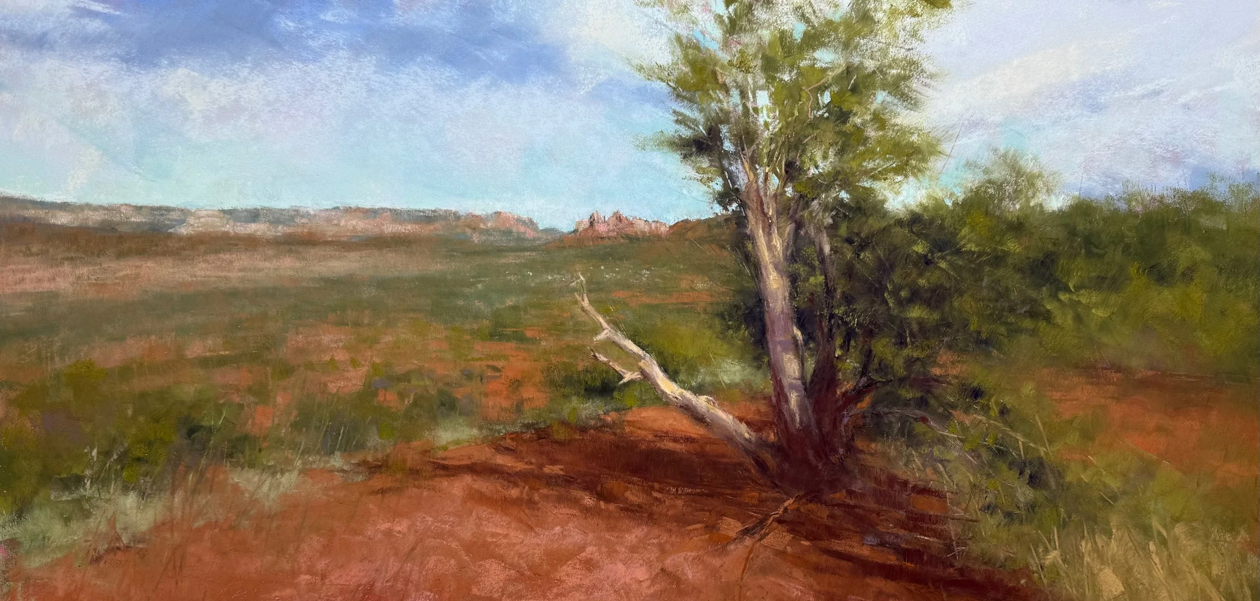 Point of View | 10x20 | soft pastel | 900