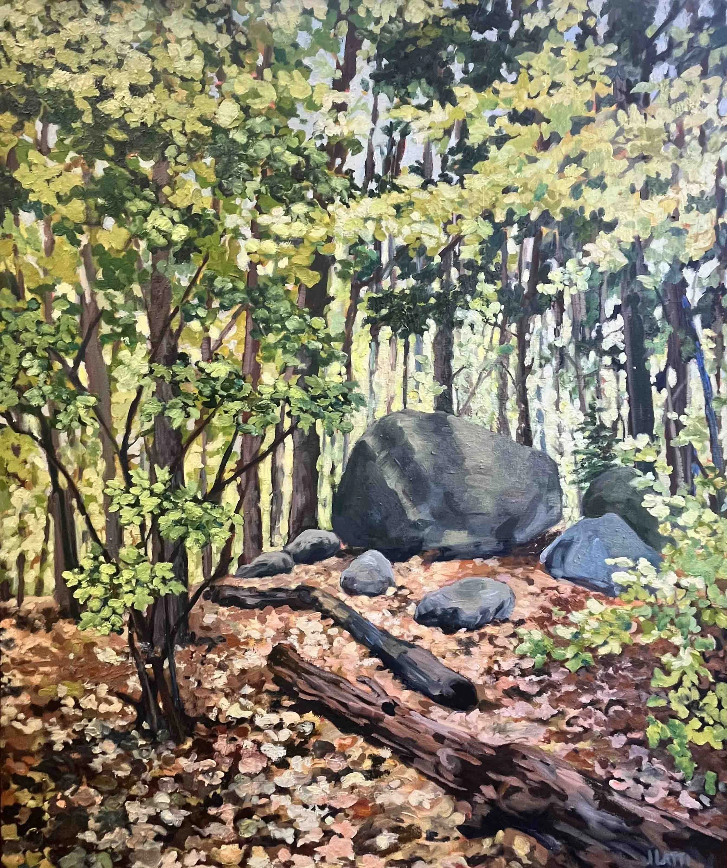 Enchanted Forest | 43x36 | oil on canvas | 2,000