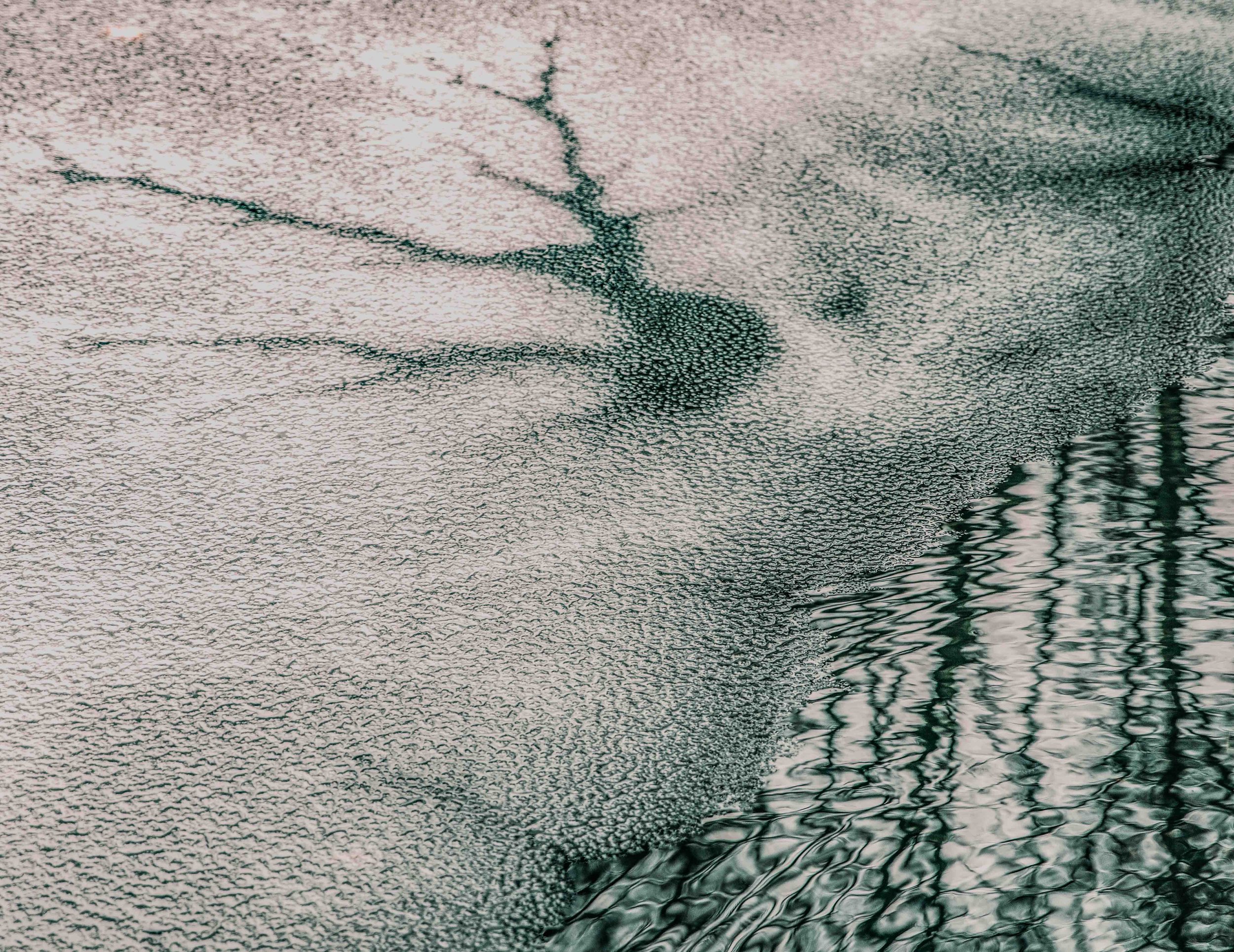 Ice Alive | digital photograph | 150