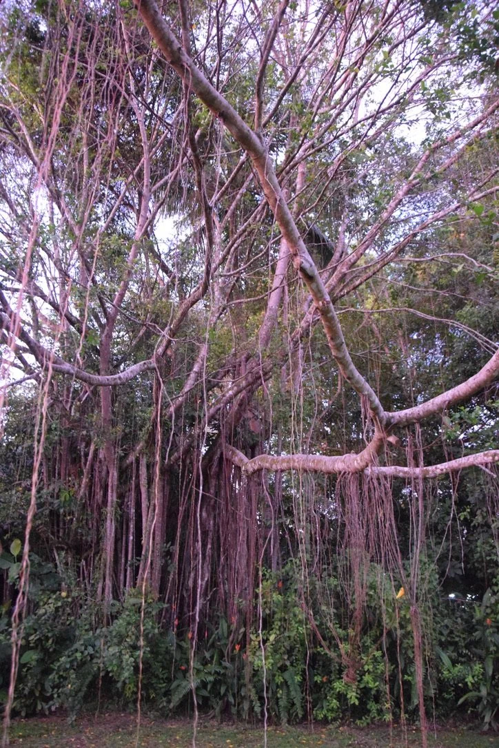 Christina Landry-Boullion (7).jpeg