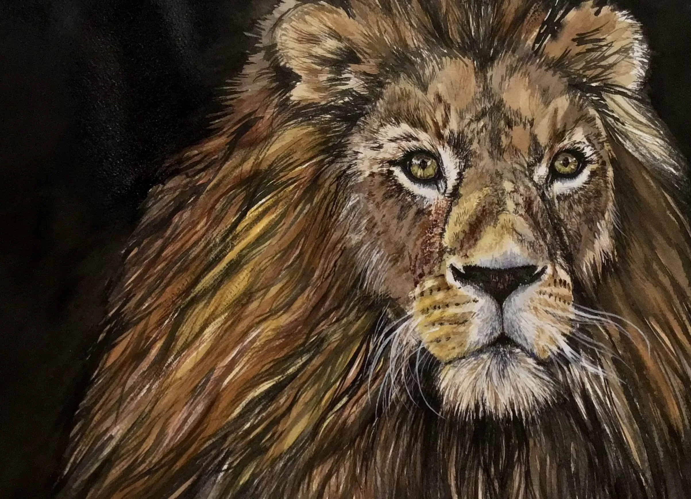 Majestic | 8x10 | watercolor & ink	| 350