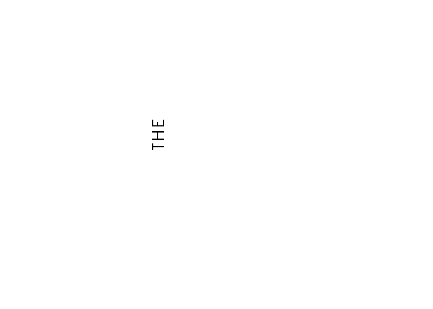 THE MARKETING WINGMAN