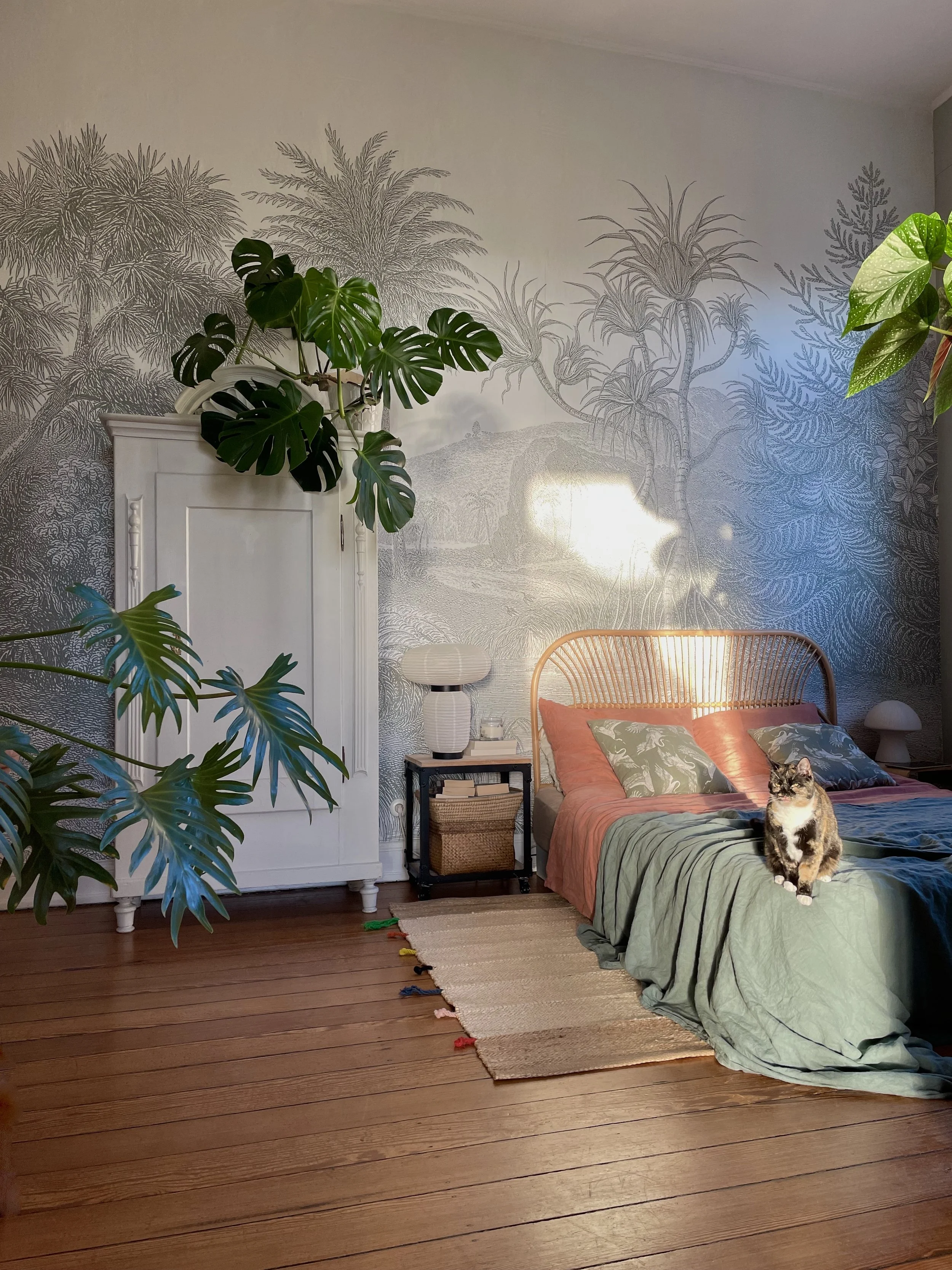 mystische Stimmung im Schlafzimmer mit Sonnenstrahl.jpeg