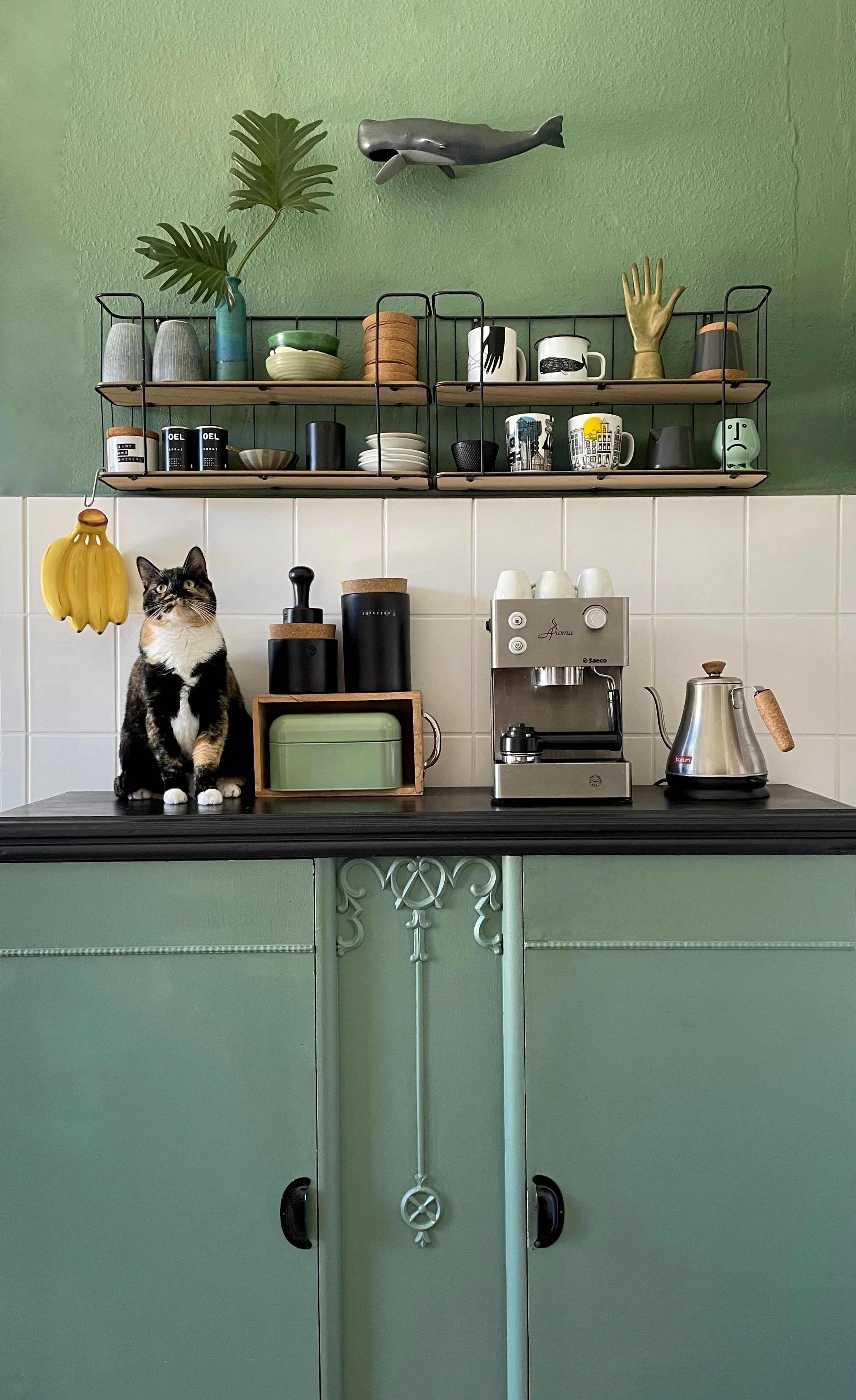 Küche mit Katze Bessy.jpeg