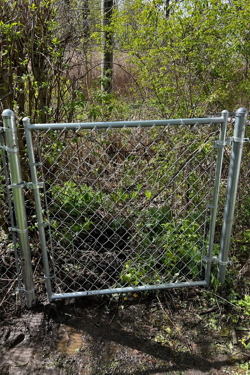4' Galvanized Chain Link Gate Replacement.png
