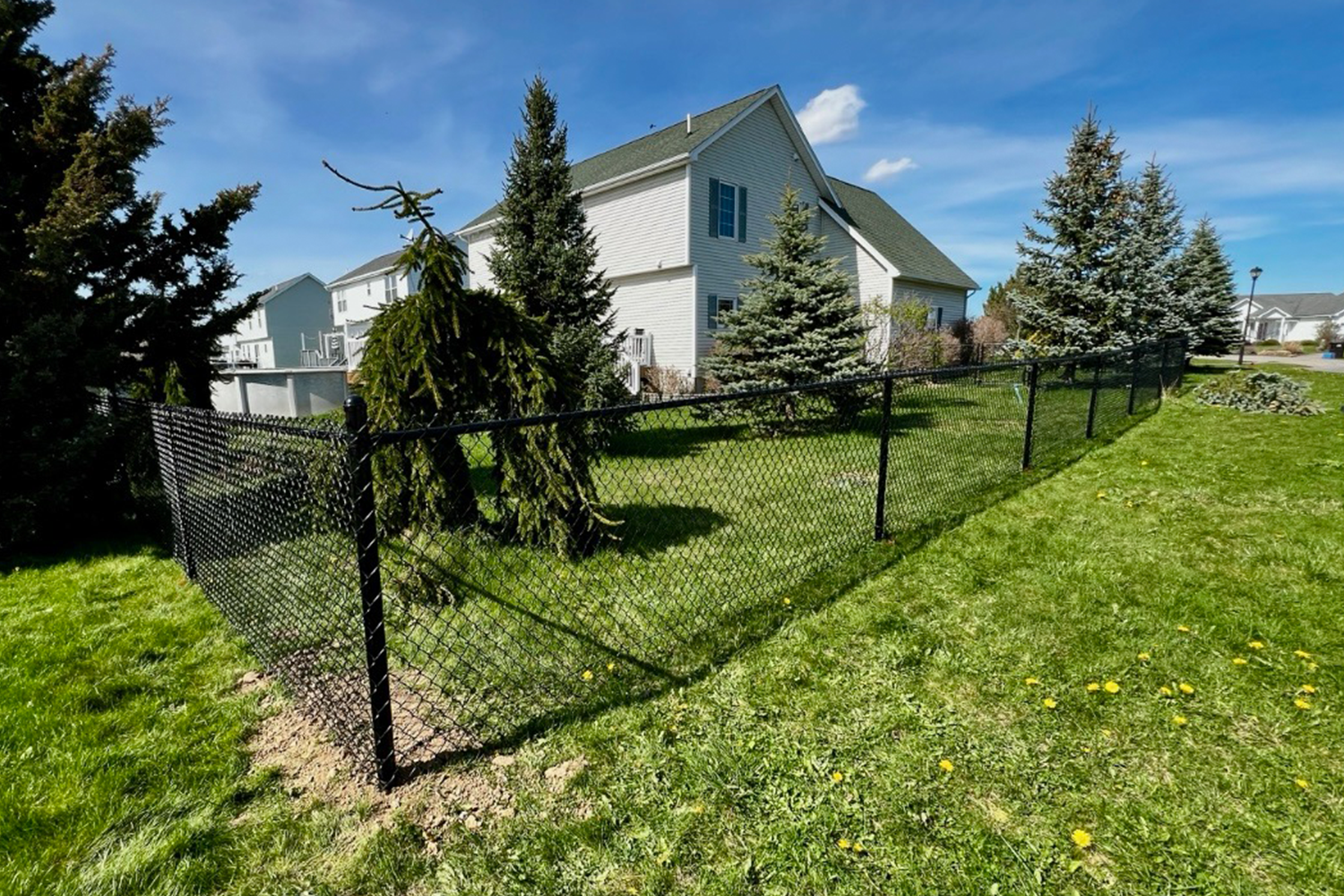 Black Chain Link 4' 2.png