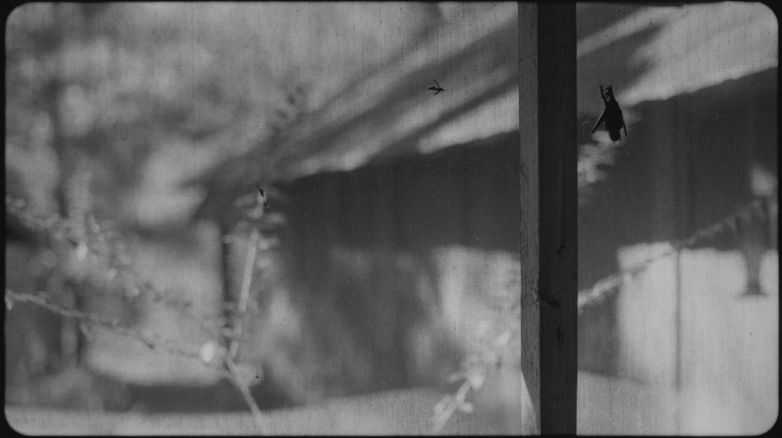 Screenshot 2024-08-24 at 6.27.37 PM.png