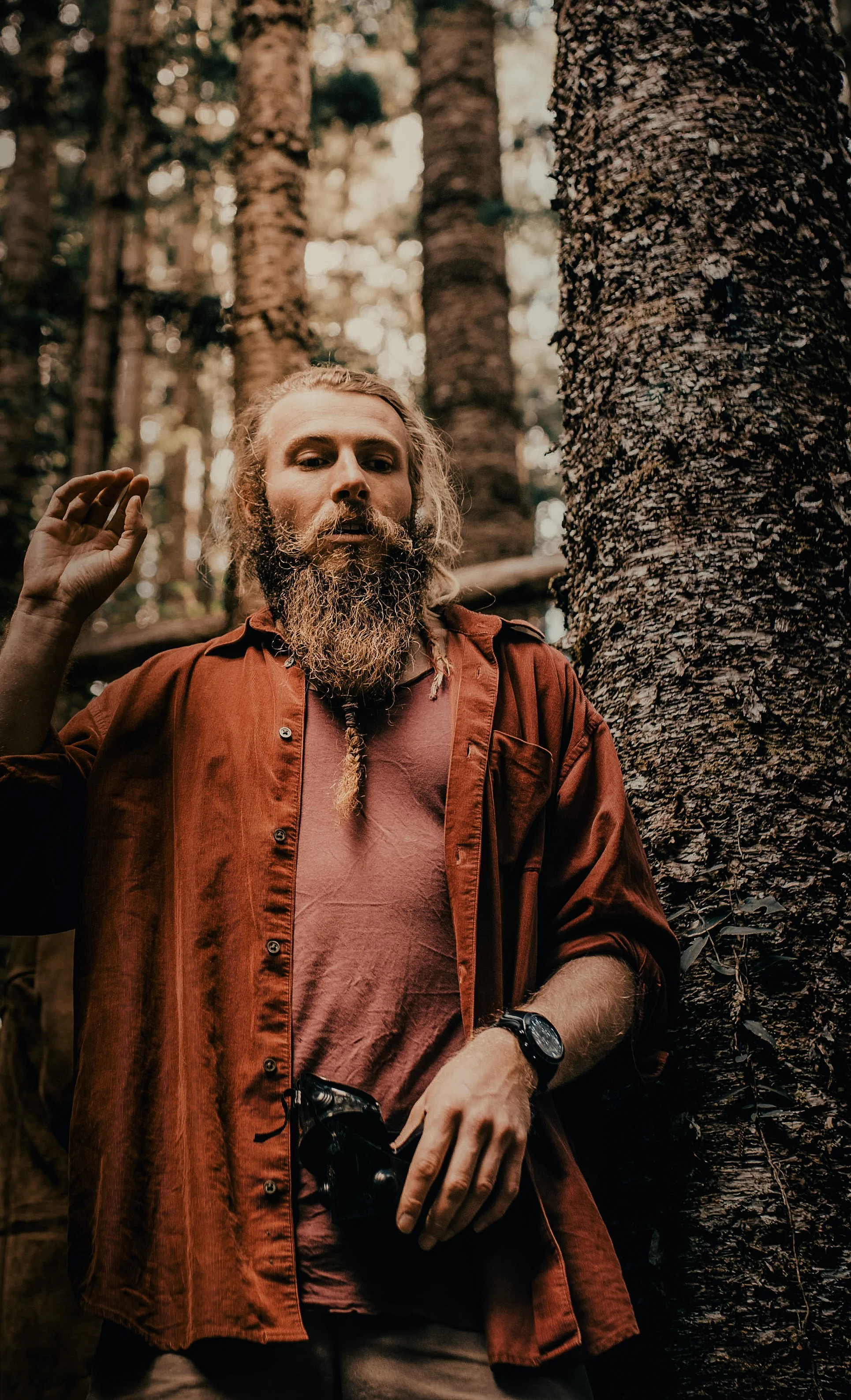 Tyler from Reading Nature explaining forest ecology