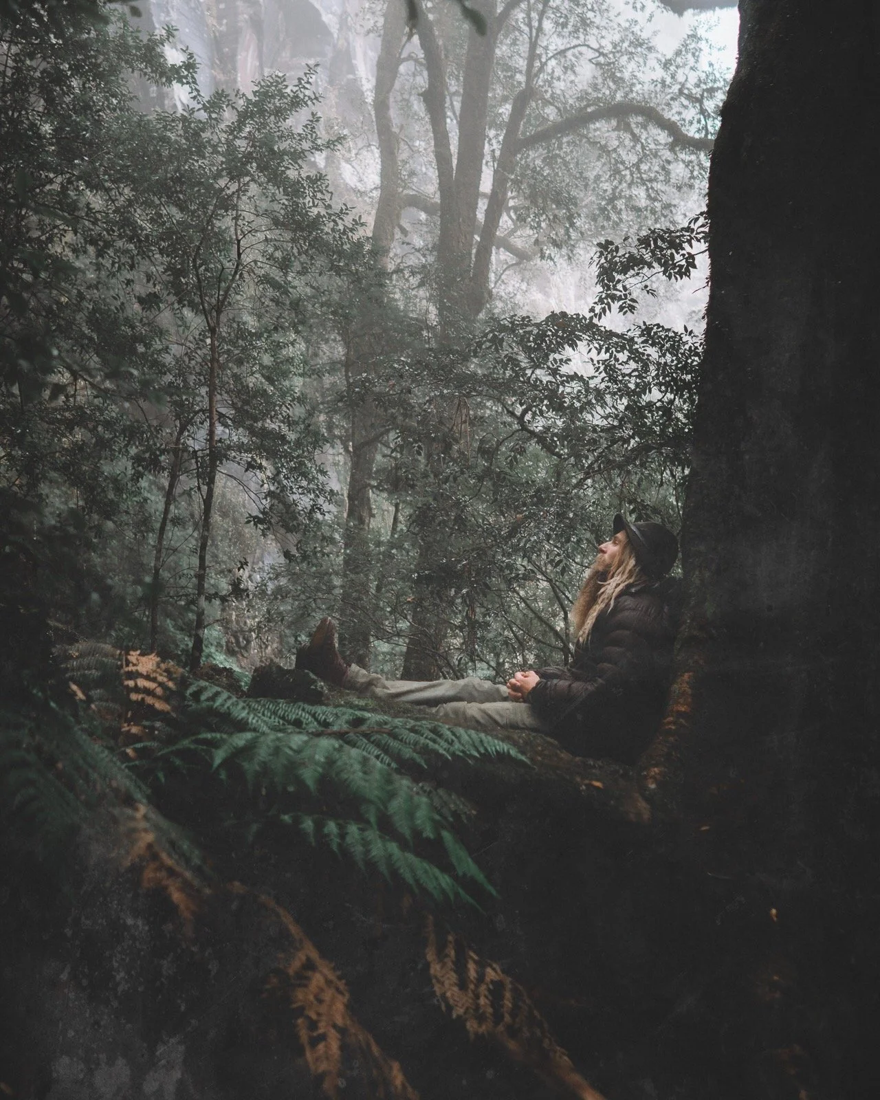 Tyler from Reading Nature meditating beneath an Ancient antarctic Beech tree.