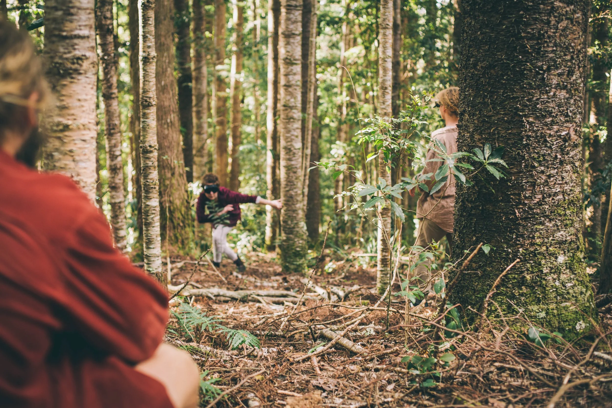 Tyler from reading nature observes participants engaging in a blindfolded exercise in a forest