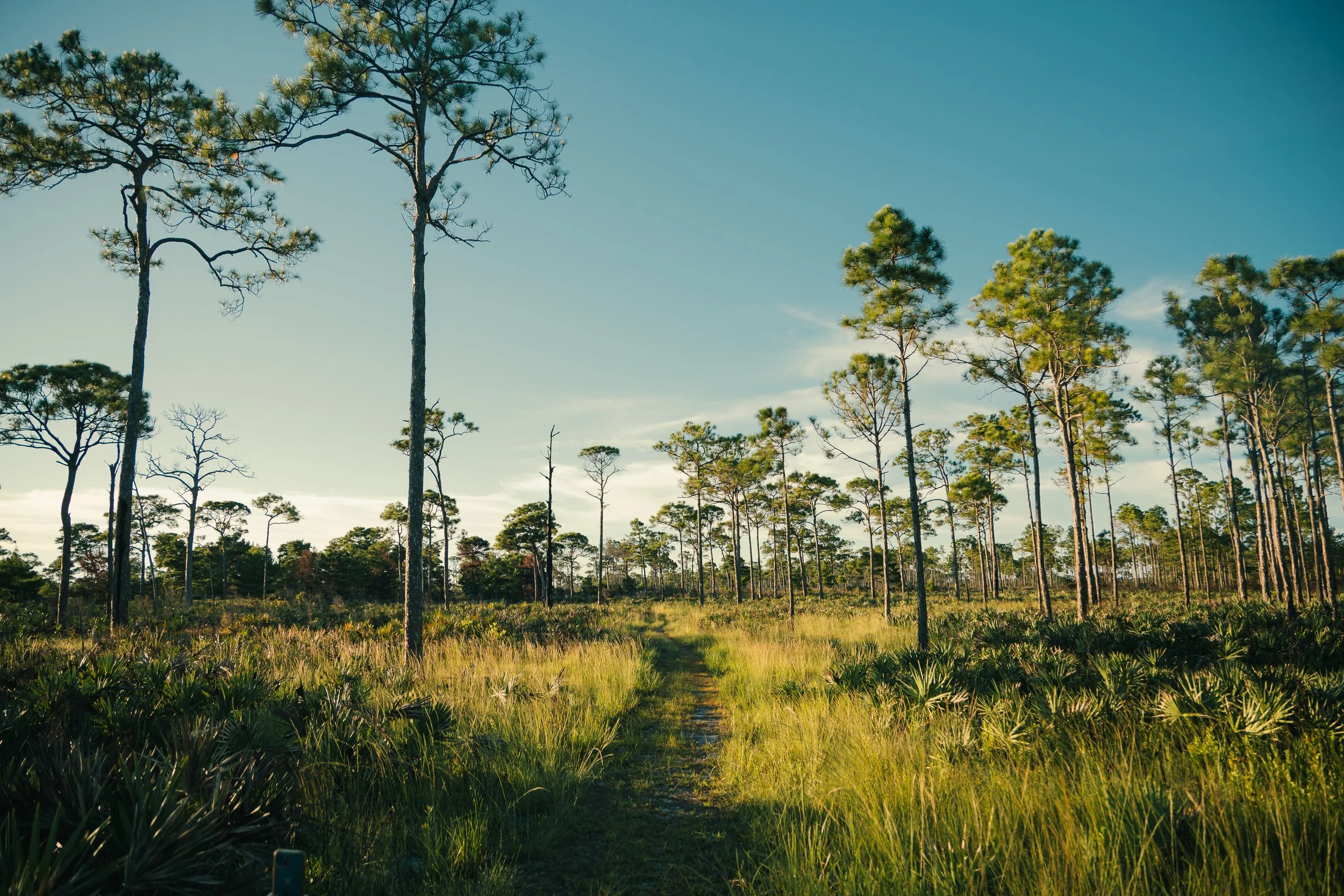 ROAM_Outdoor_Sock_Brand (14).jpg