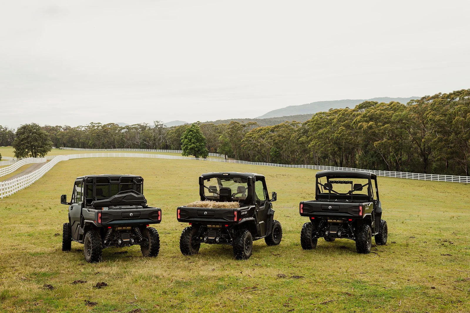 CAN-AM DEFENDER HD11-15.jpg