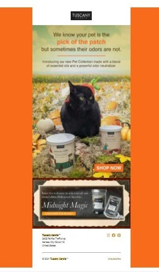 Halloween E-Blast_ Example of Email Writing.jpg