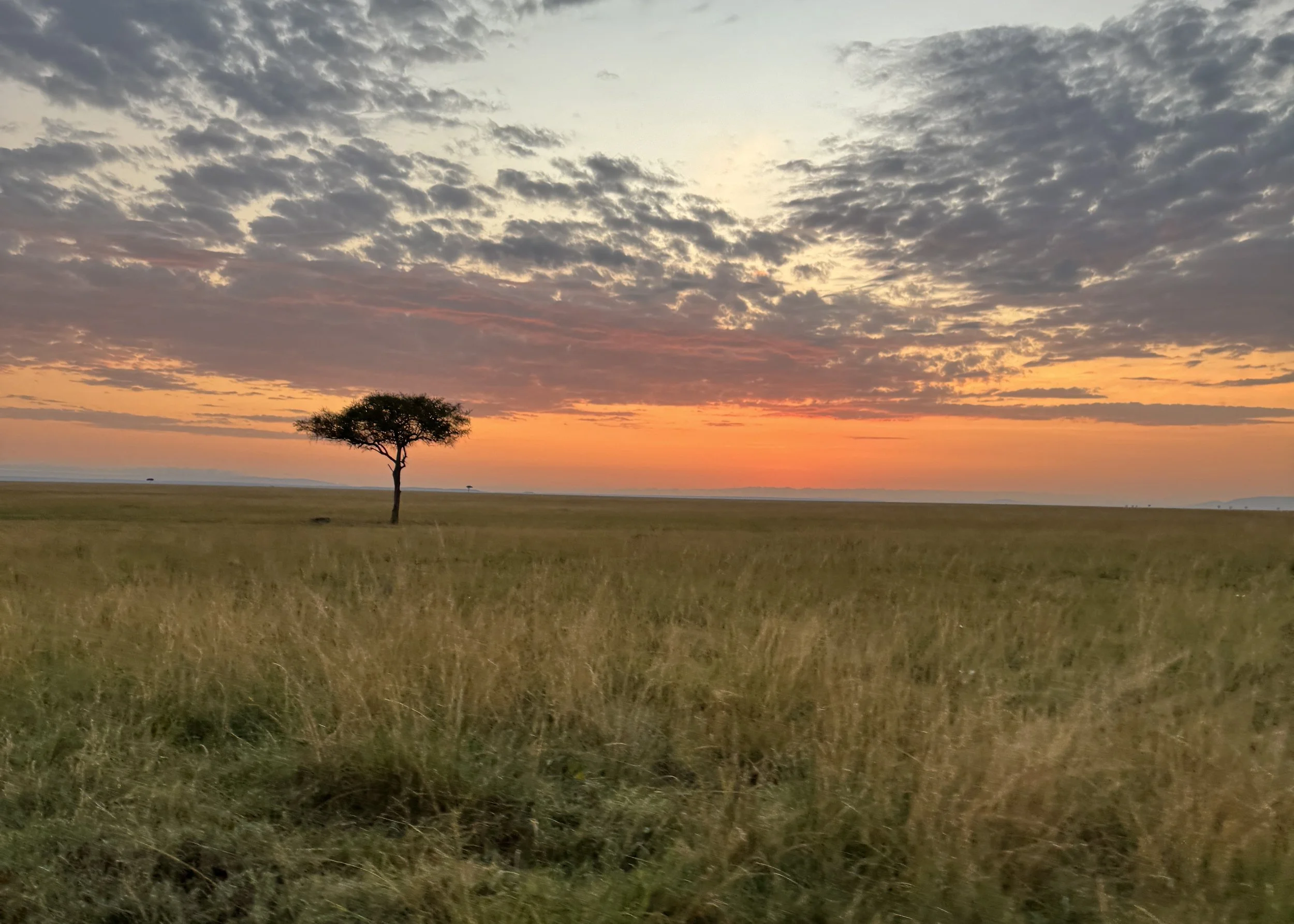 The Emotional Side: Safety vs. Savings