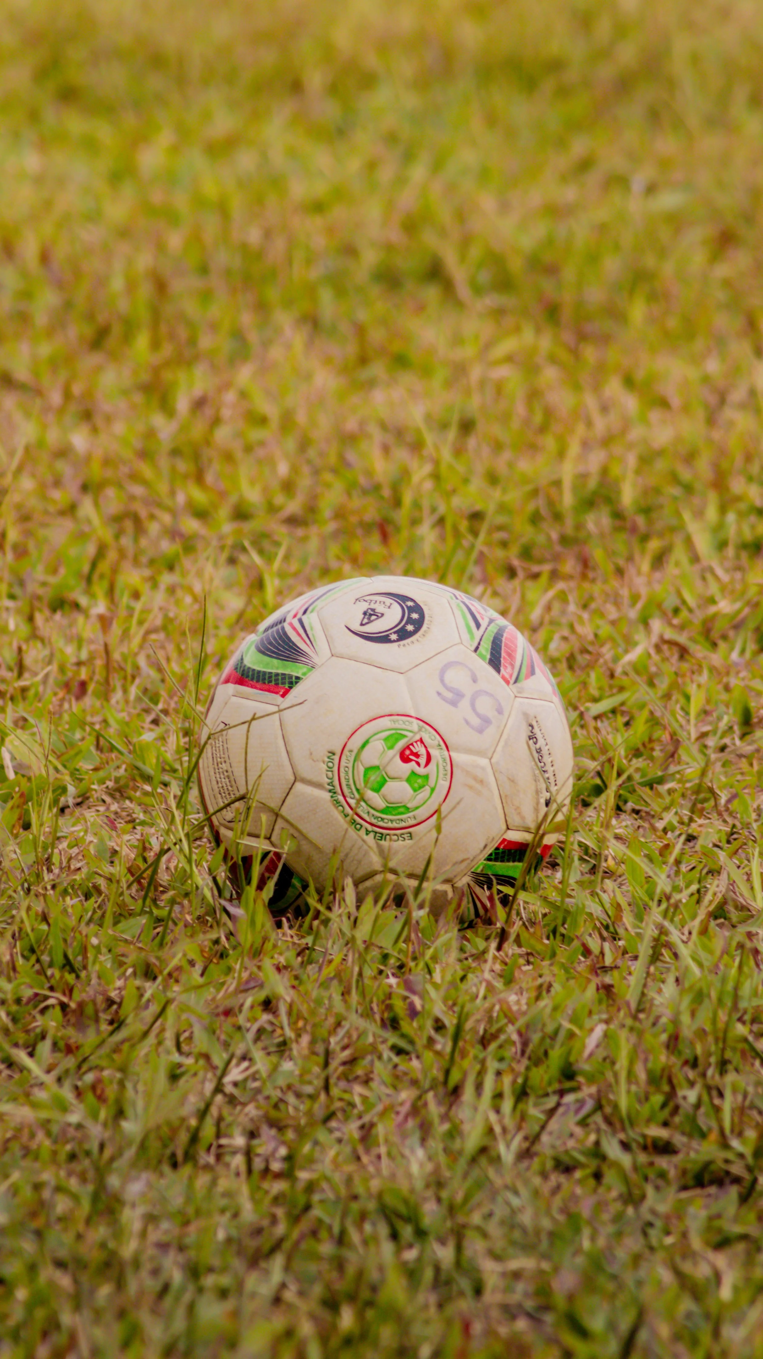 Villa Quindío USA17.jpg