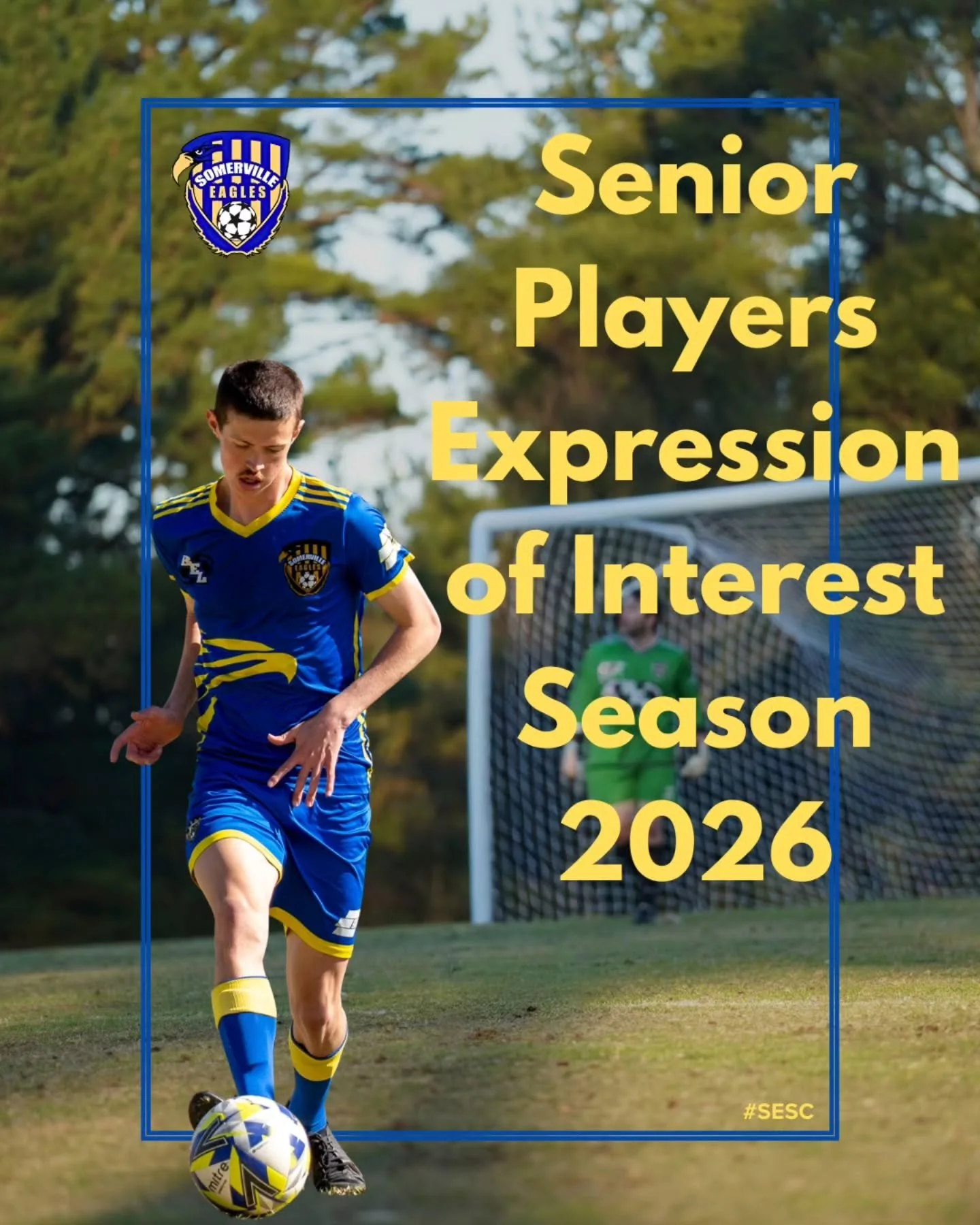 🗳 EXPRESSION OF INTEREST 2026 🗳

The Somerville Eagles are on the lookout for new players for the 2026 season. We are welcoming all skill levels, whether you are seeking consistent senior minutes, returning to the game after some time off or just l