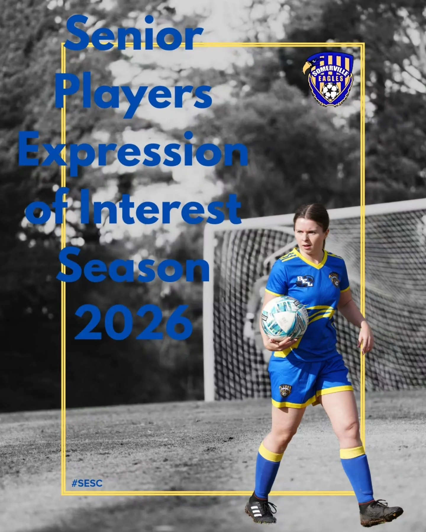 🗳 EXPRESSION OF INTEREST 🗳

Want to play at Somerville in 2026?

Fill out this EOI form and we will be in touch: https://forms.gle/RFxq46wnNQfv91Y59 (link in story)

#sesc 🦅