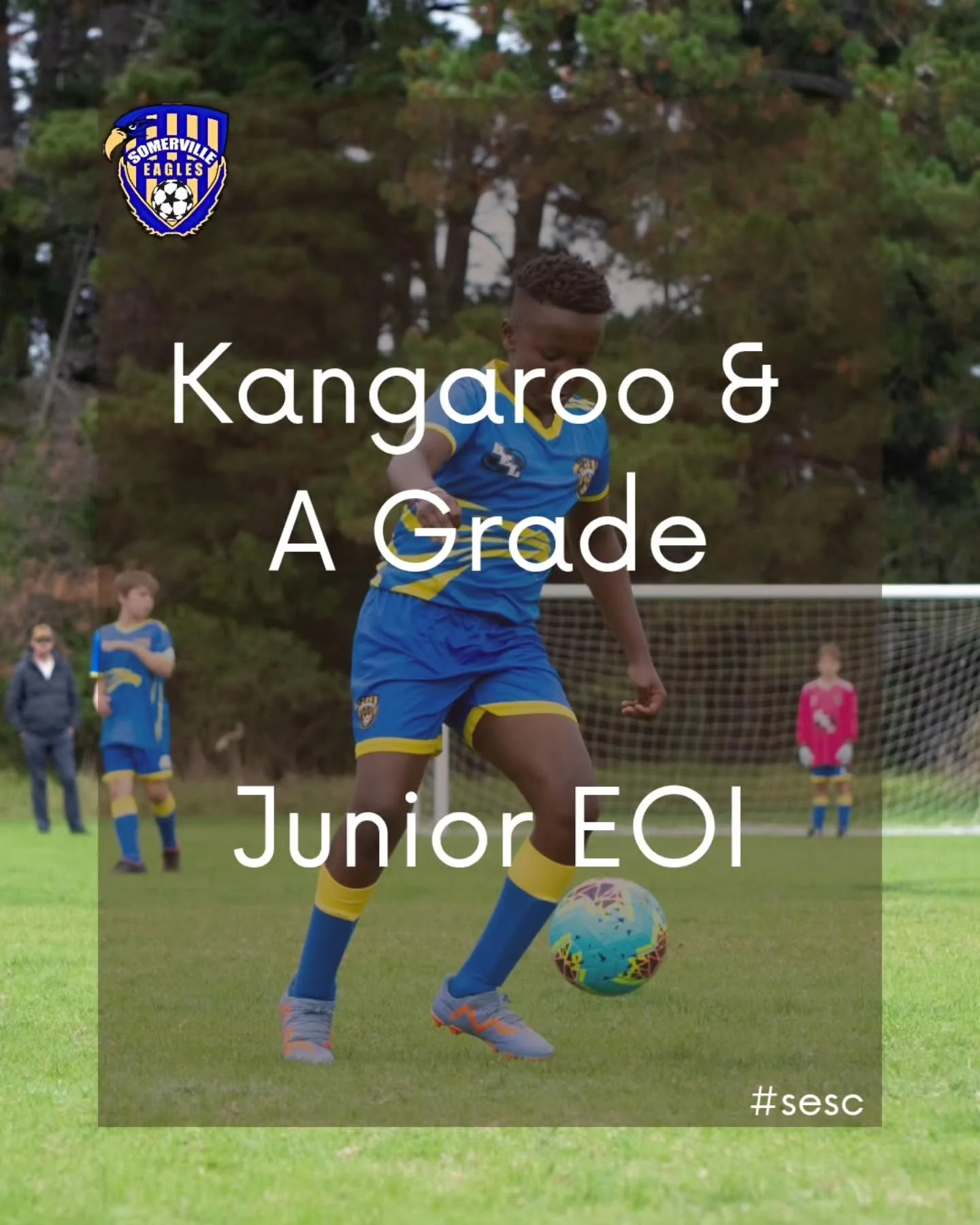 🗳 KANGAROO &amp; A GRADE EOI 🗳

Missed out on NPL or Pre NPL? Looking to play at a high level next season? We have spots available in our under 10 and under 11 Kangaroo teams and spots in our under 12 and under 13 A Grade teams. If this piques your