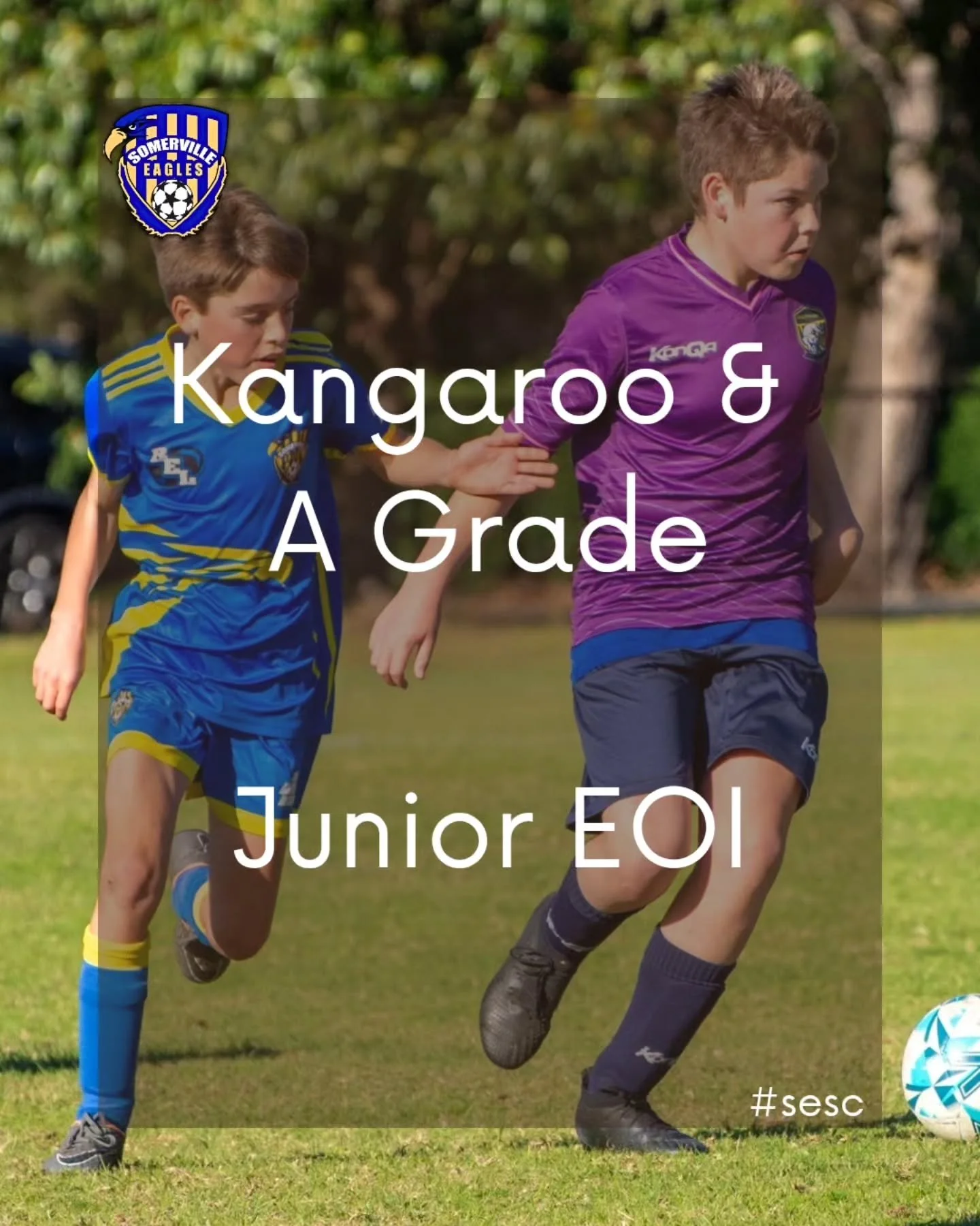 🗳 KANGAROO &amp; A GRADE EOI 🗳

Dont forget we have our EOI open for  spots in our under 10 and under 11 Kangaroo teams and spots in our under 12 and under 13 A Grade teams. Perfect for those who missed out on NPL or Pre NPL!

Interested? Fill out 