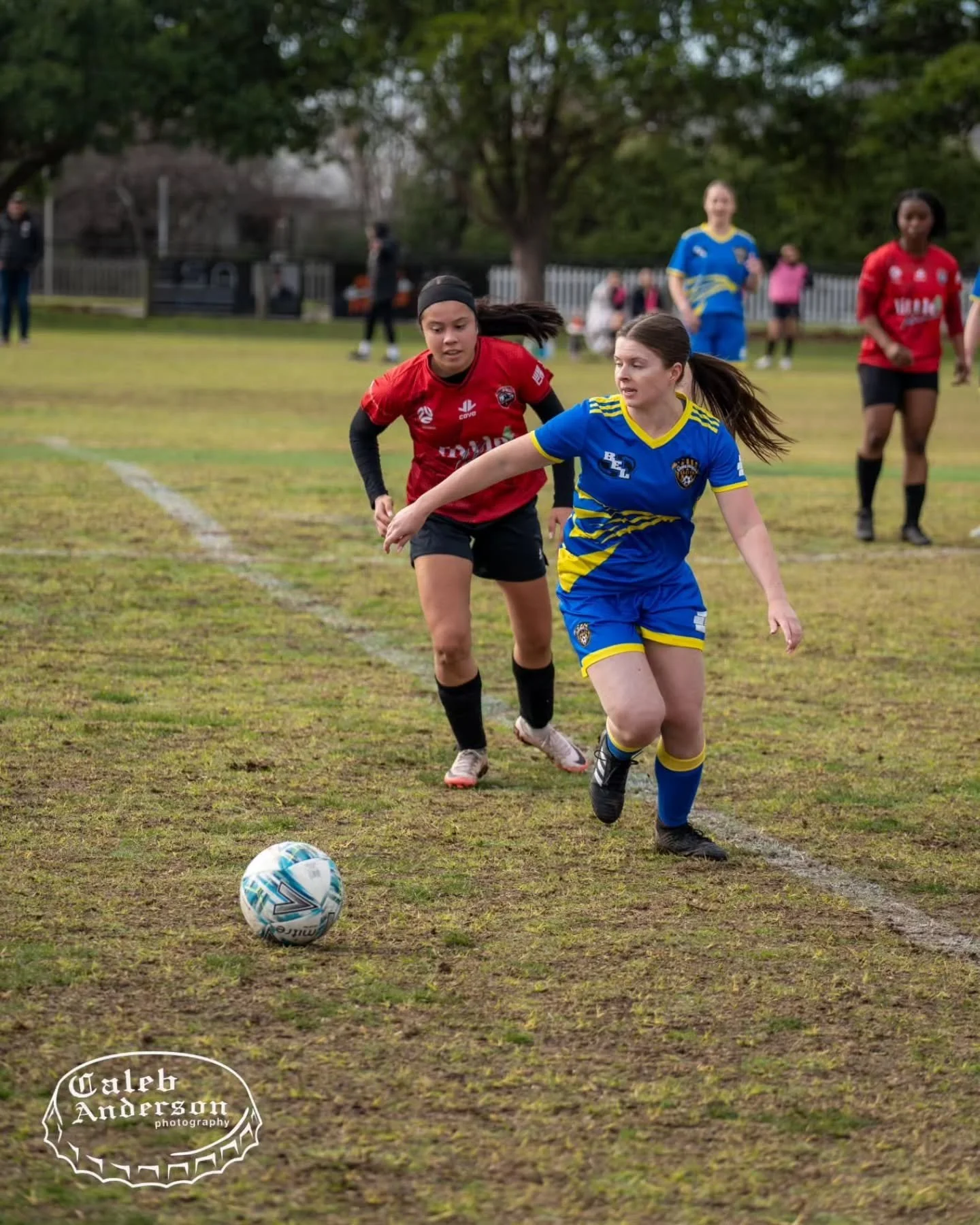 ⚽️ SHEAGLES TRAINING 🦅

Our senior mens teams aren't the only ones returning for December! Our Sheagles are back tomorrow night and Tuesday next week for their first sessions for the 2026 season! 

The Sheagles will return after these dates in Mid J