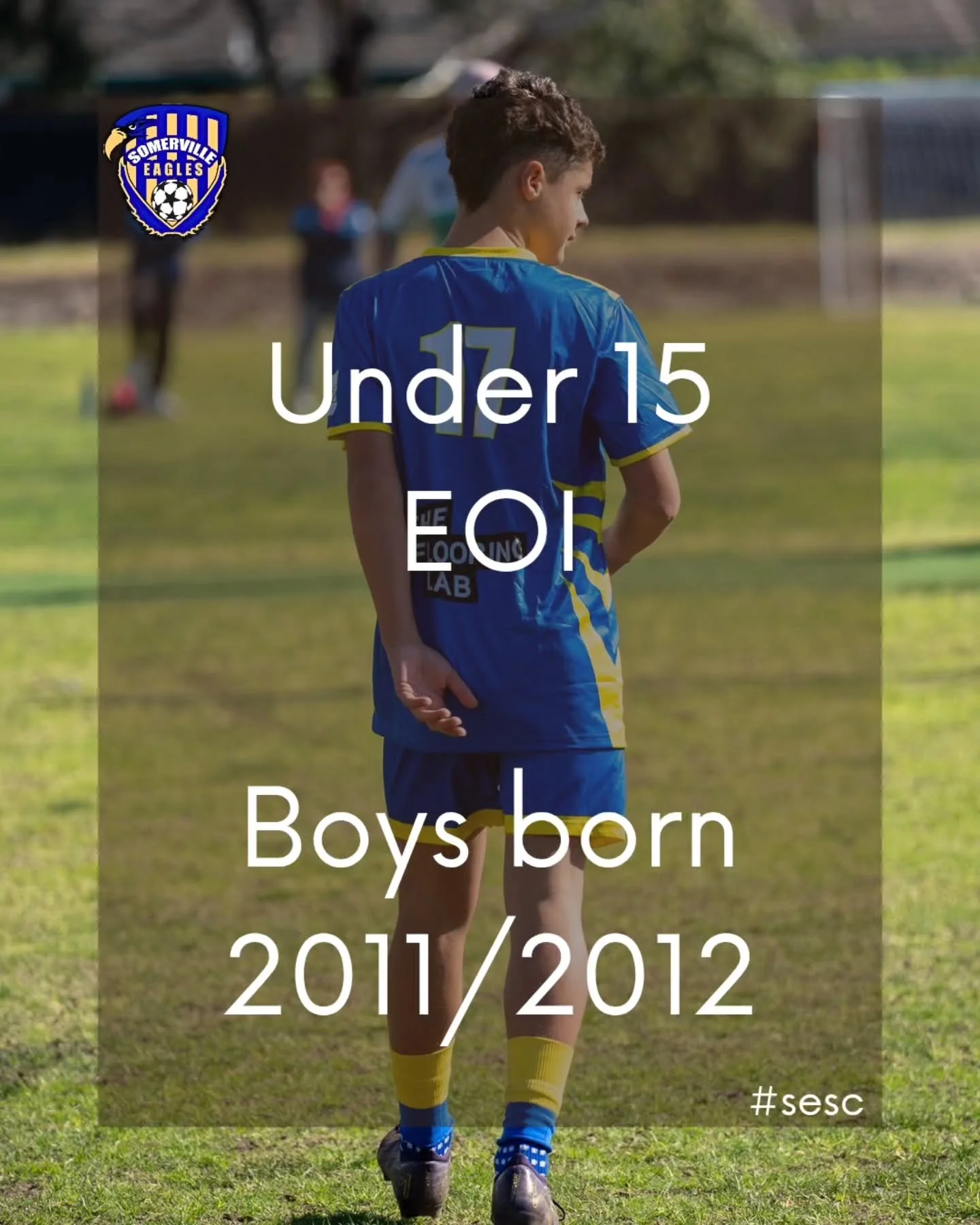 🗳 UNDER 15s EOI 🗳 

We're looking for expressions of interest for an under 15s team for season 2026. You can express your interest here (link in bio) 

https://form.jotform.com/SomervilleEagles/under-15s-2026-eoi-form 

Our other expressions of int