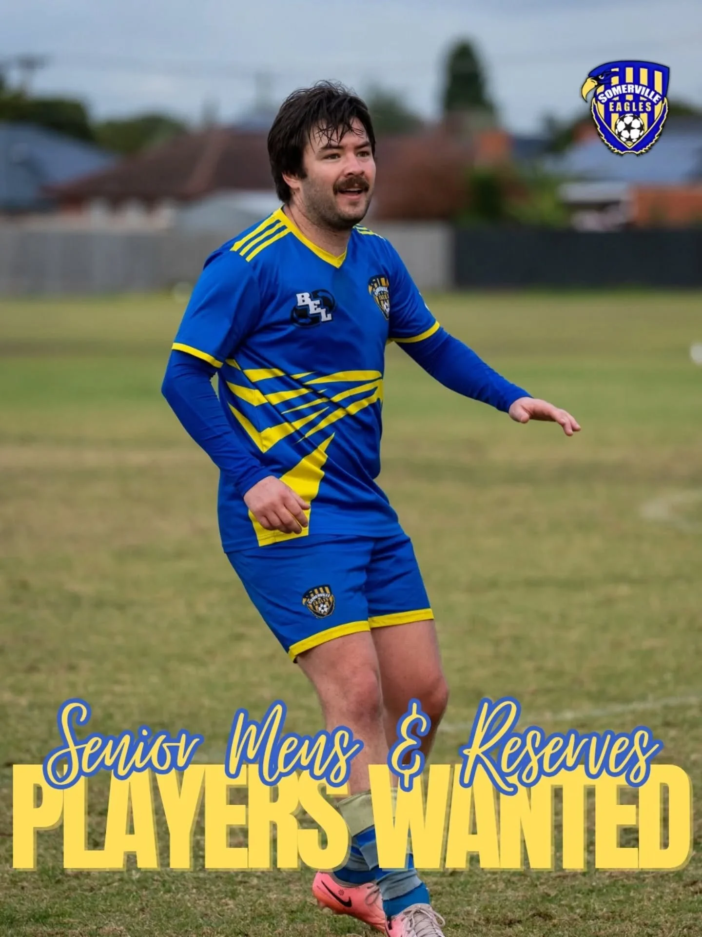 ⚽️ PLAYERS WANTED ⚽️

Are you a young gun looking to take the next step into senior football? A classy baller who hasn't put on the boots for a few years? A supersub looking for more consistent minutes?

Well look no further than the Somerville Eagle